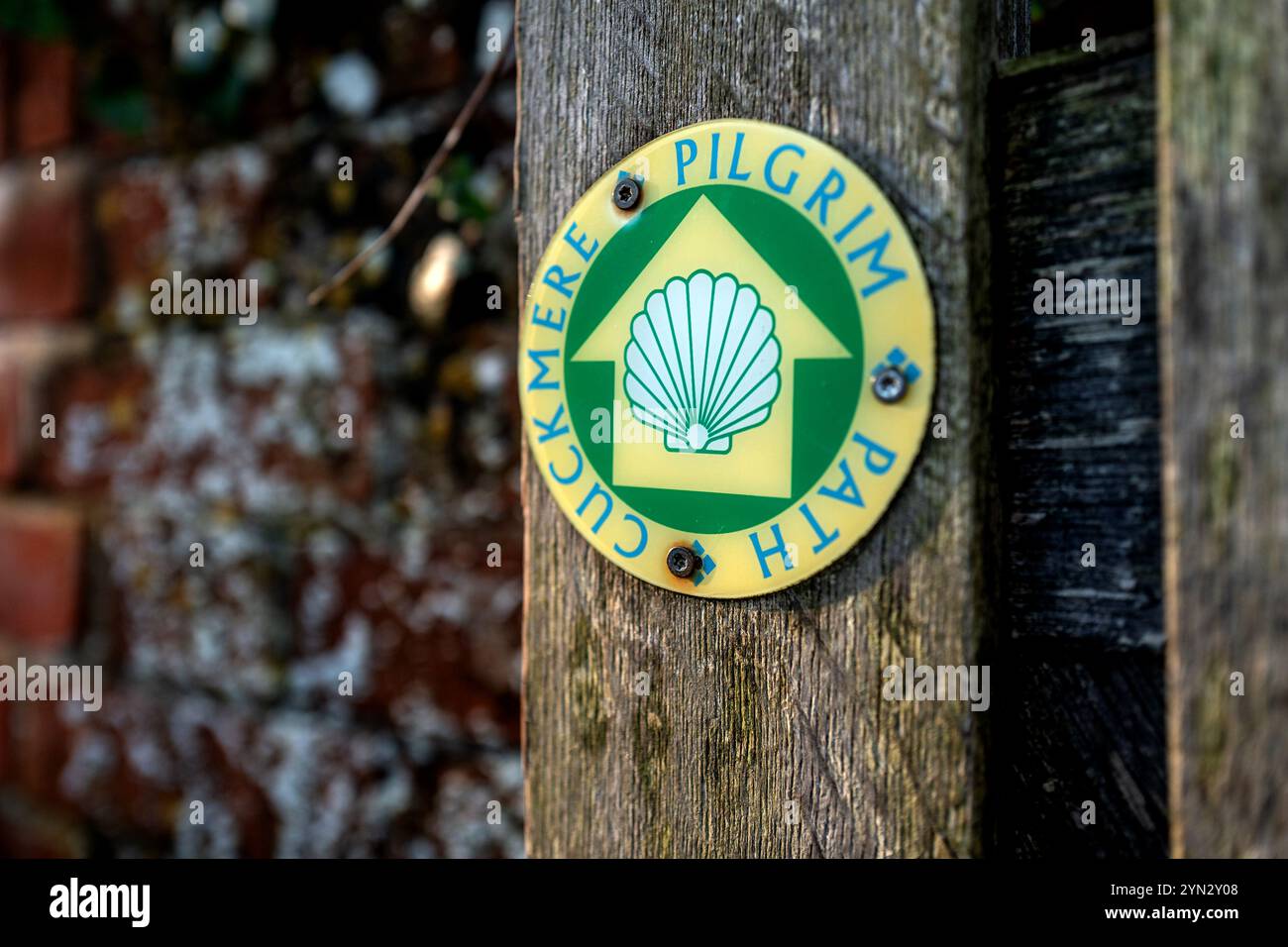 Alciston, 22. November 2024: The Cuckmere Pilgrim Path Stockfoto