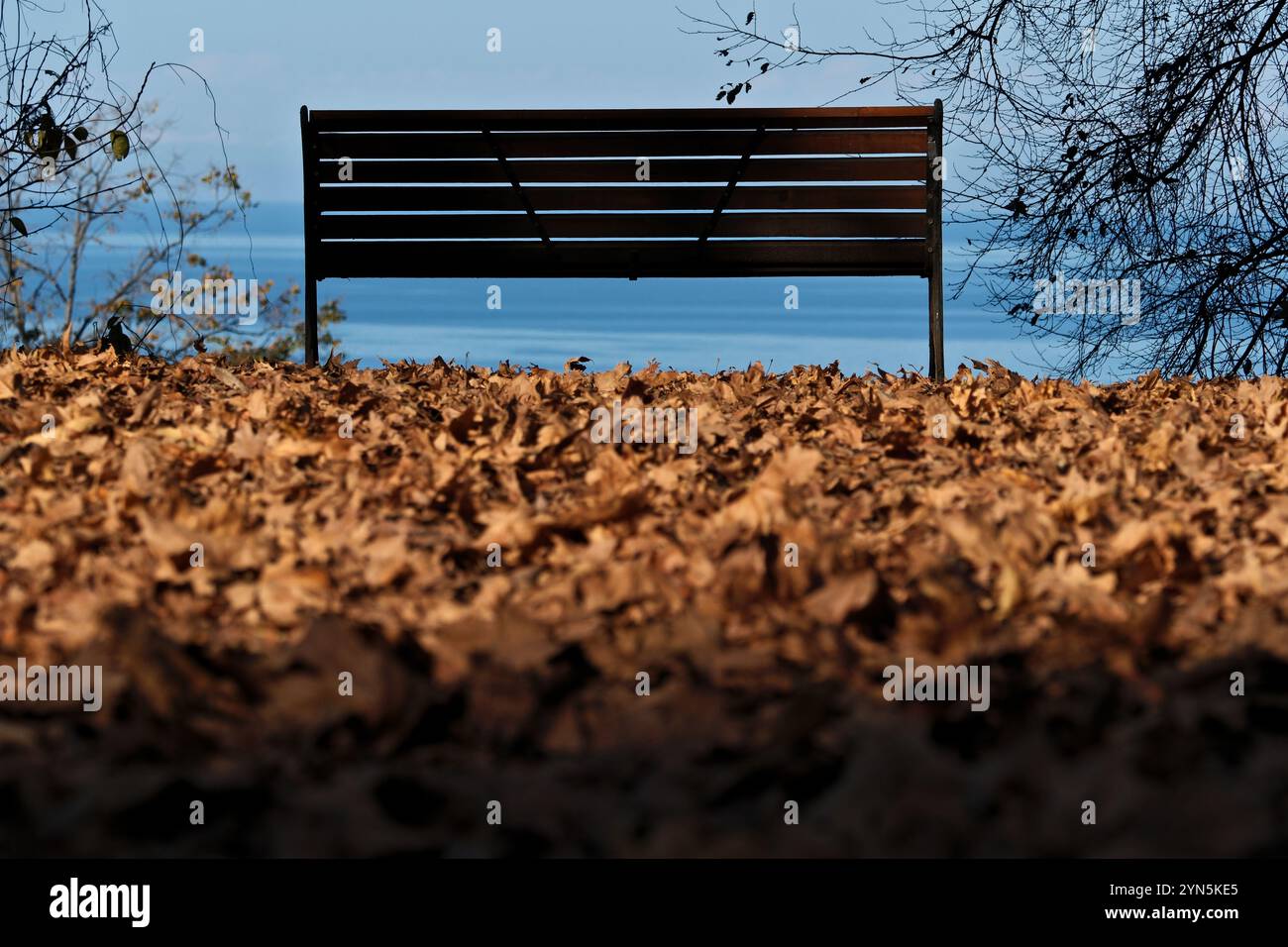 Bank im Herbst vor dem Hintergrund des Meeres Stockfoto