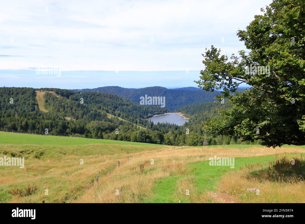 Landschaftsblick an der Route des Cretes im Elsass, Vogesen in Frankreich im Sommer Stockfoto