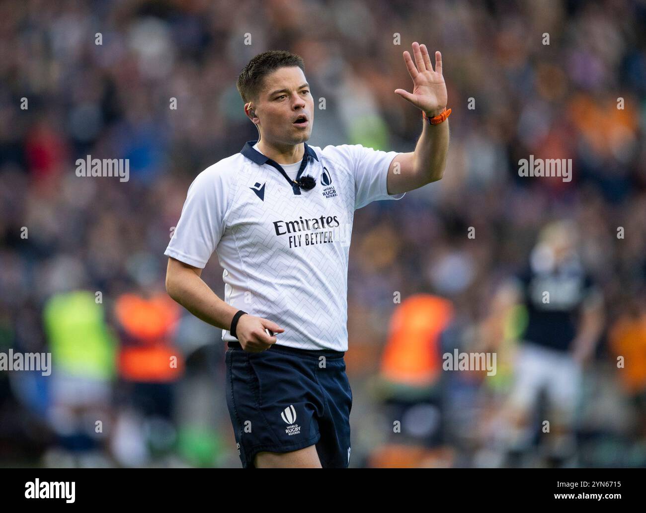 Herbstserie: Schottland V, Australien. November 2024. Match-Schiedsrichter Chris Busby, als Schottland in ihrem vierten und letzten Spiel der Herbstserie 2024 in Scottish Gas Murrayfield, Edinburgh, Großbritannien gegen Australien antritt Stockfoto