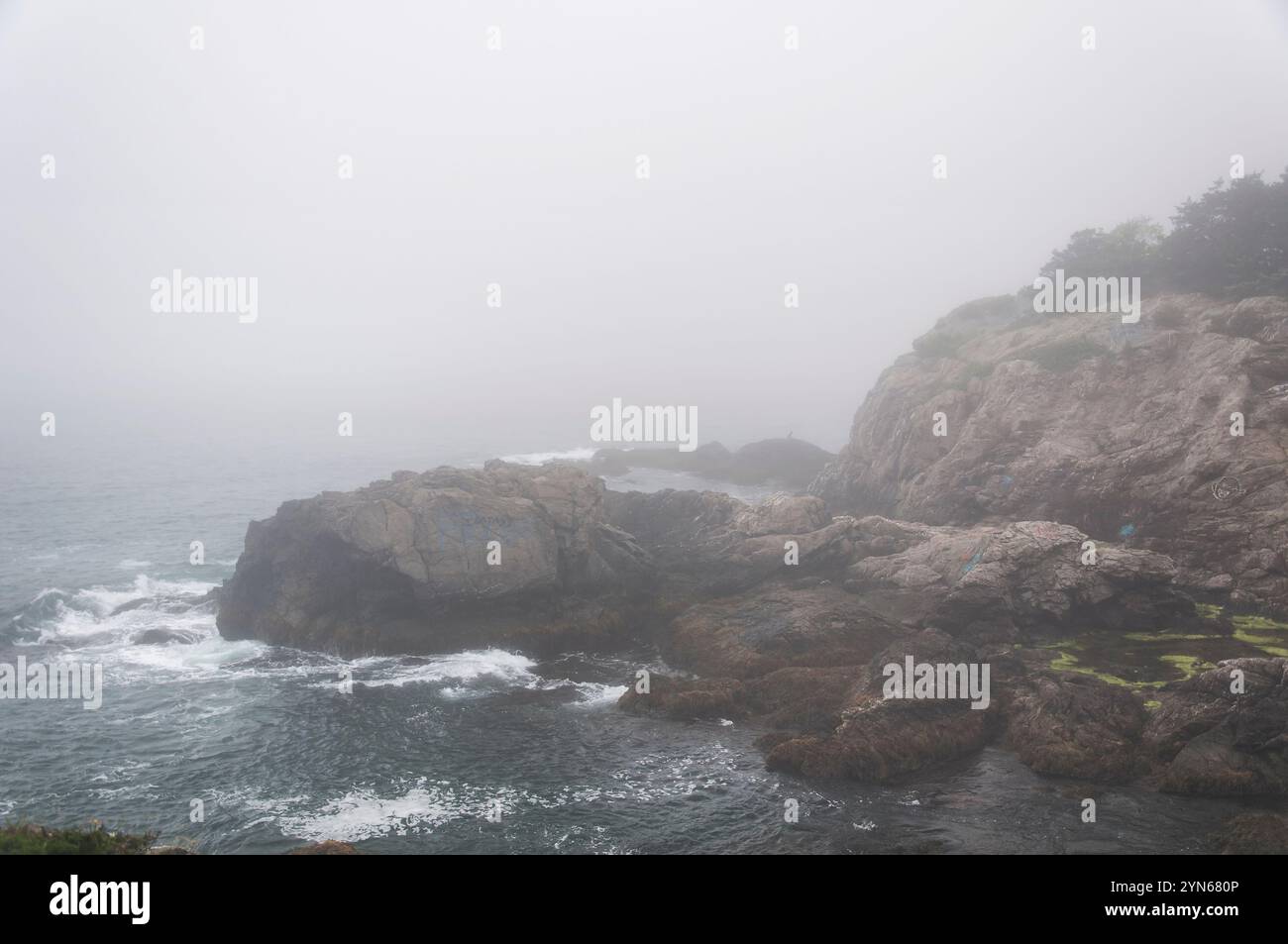 Die nebelige Küste im Fort Wetherill State Park in Jamestown, Rhode Island. Stockfoto