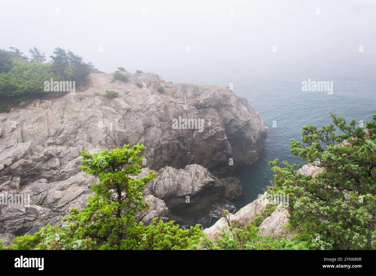 Die nebelige Küste im Fort Wetherill State Park in Jamestown, Rhode Island. Stockfoto
