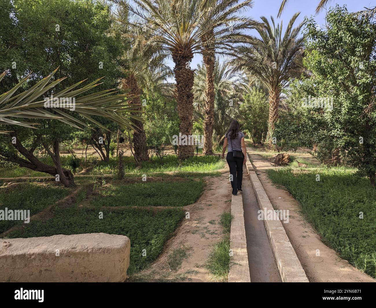 Spaziergang durch den Igrane-Garten in der Nähe von Merzouga, einer typischen landwirtschaftlichen Oase mit kleinen Kanälen, Marokko, Afrika Stockfoto