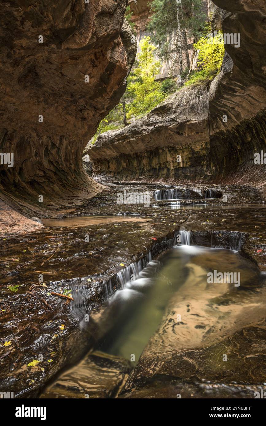 Prächtiges Wahrzeichen der U-Bahn-Schlucht im Zion-Nationalpark in Utah, USA, Nordamerika Stockfoto