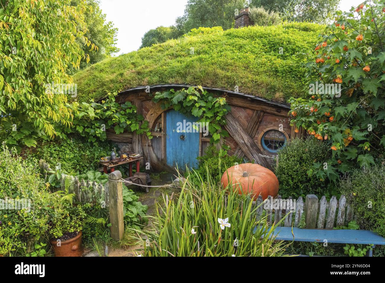 HOBBITON, NEUSEELAND, 20. JANUAR 2023, berühmtes Dorf Hobbiton in Matamata aus den Filmen der Hobbit und Herr der Ringe, Neuseeland, Ozeanien Stockfoto