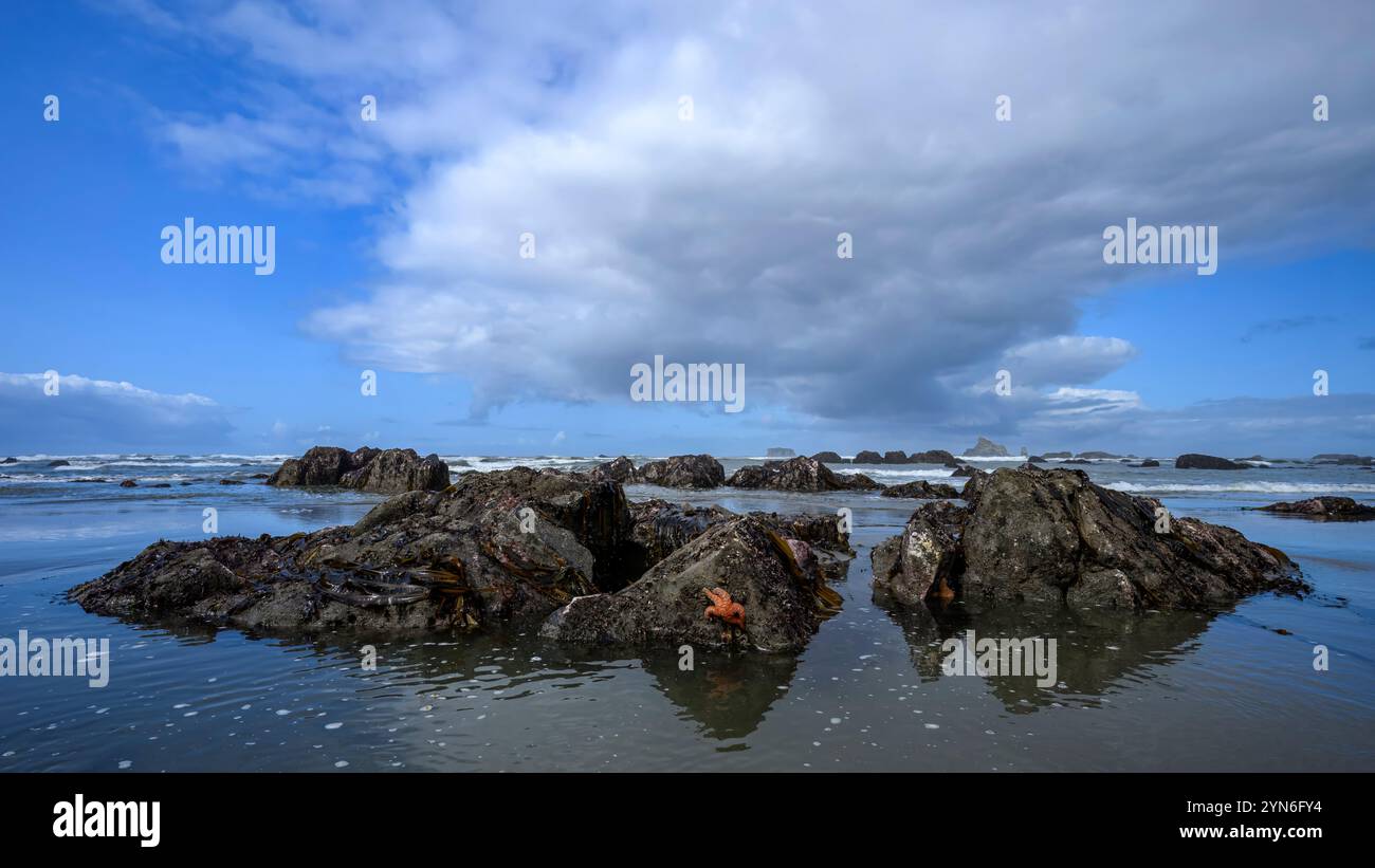 Olympic National Park, Washington. Stockfoto