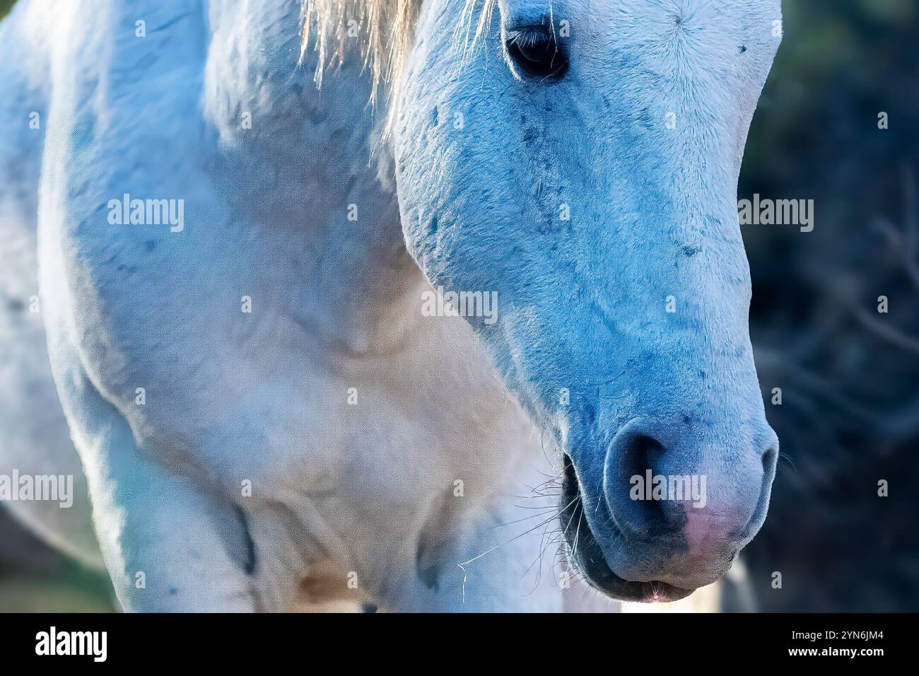 Auf Eigene Faust Stockfoto