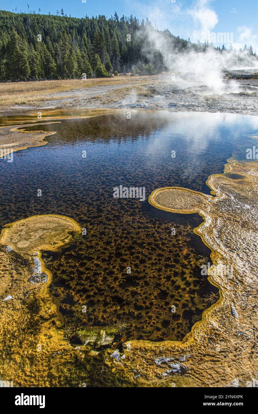 Tolle farbenfrohe Pools im Upper Geyser Basin von Yellowstone NP, USA, Nordamerika Stockfoto