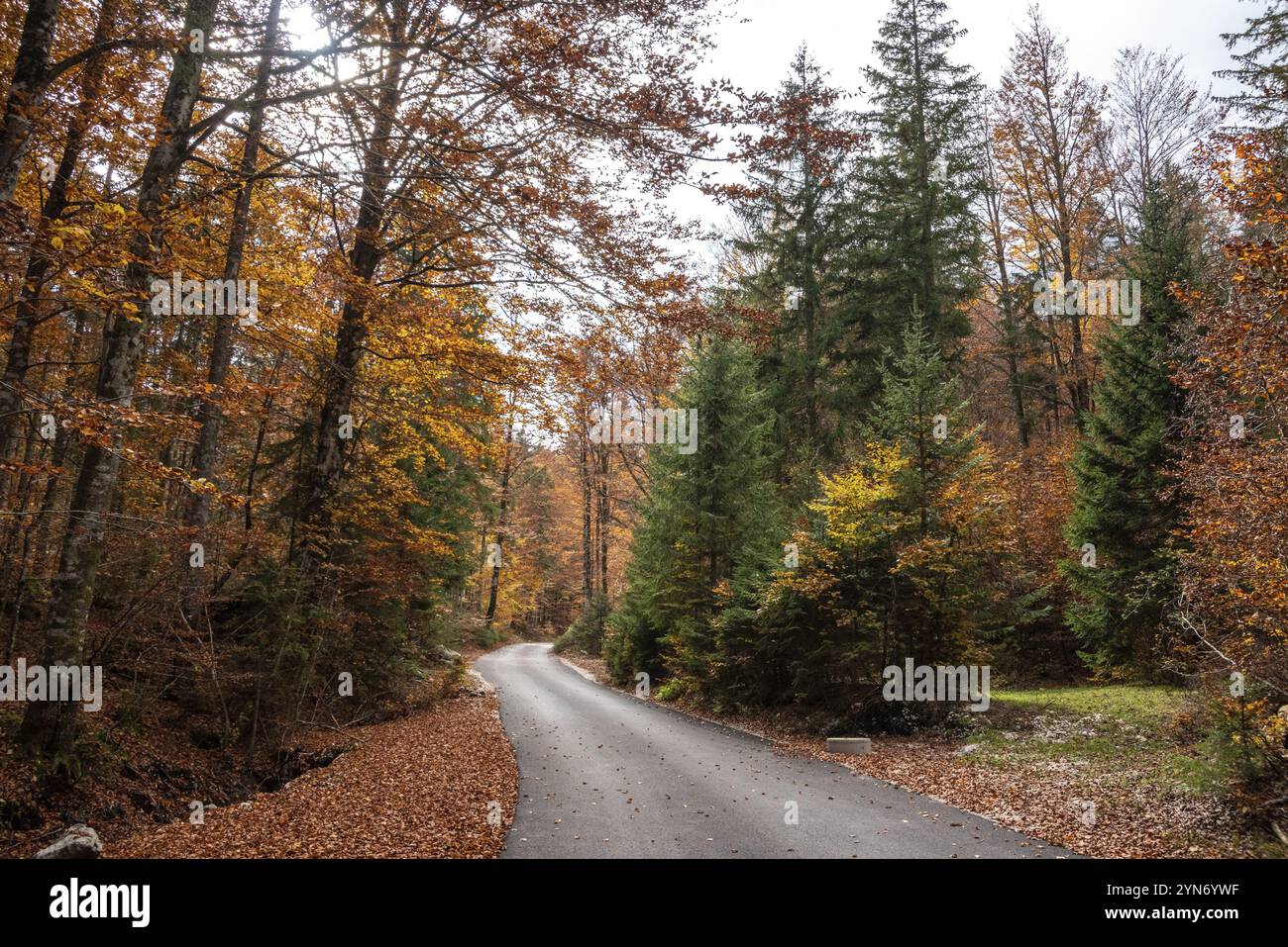 Wandern durch das Vrata-Tal im Herbst, Triglav-Nationalpark in den Julischen Alpen, Slowenien, Europa Stockfoto