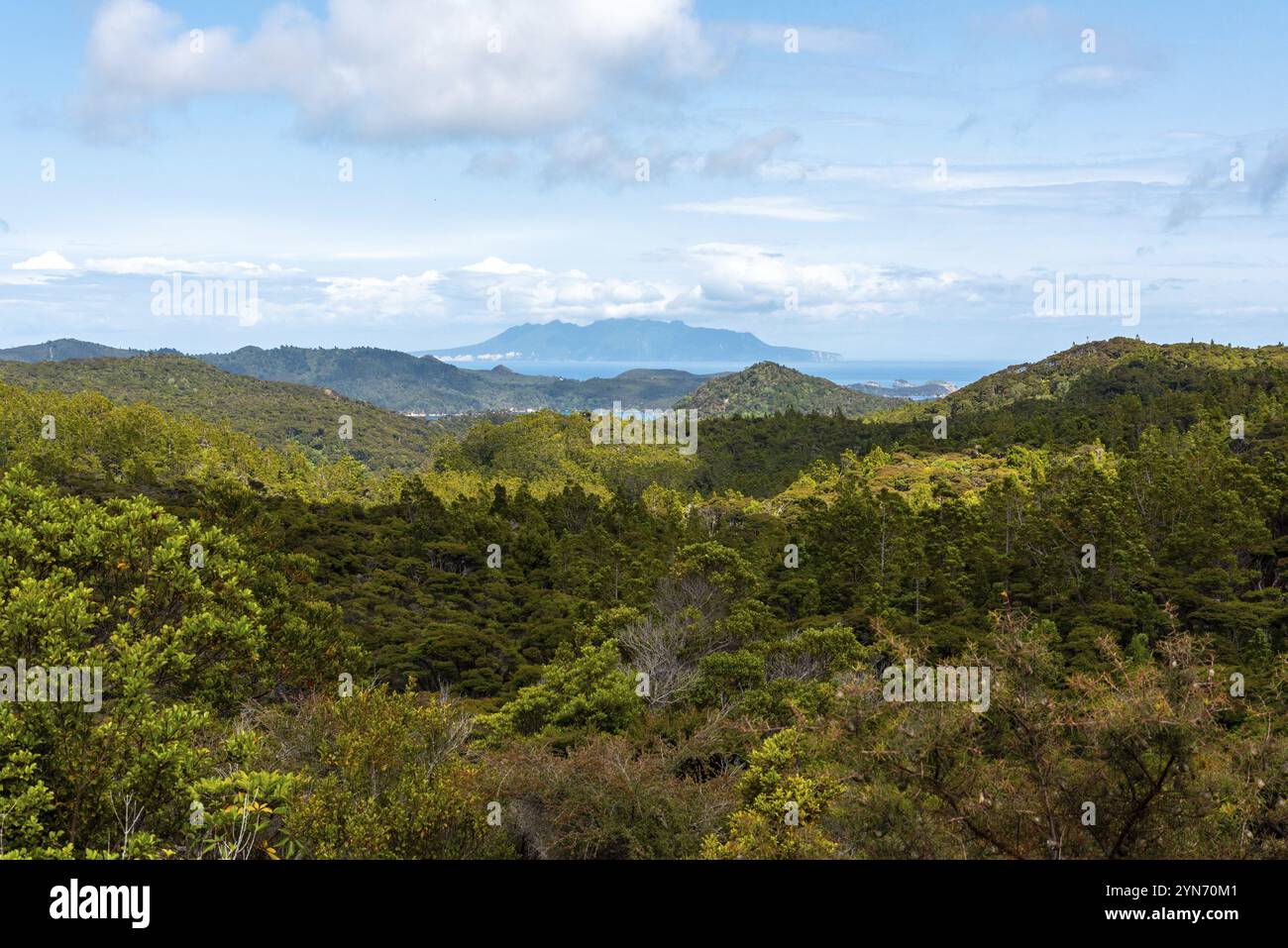 Regenwald und Küste der Great Barrier IslandN Neuseeland Stockfoto