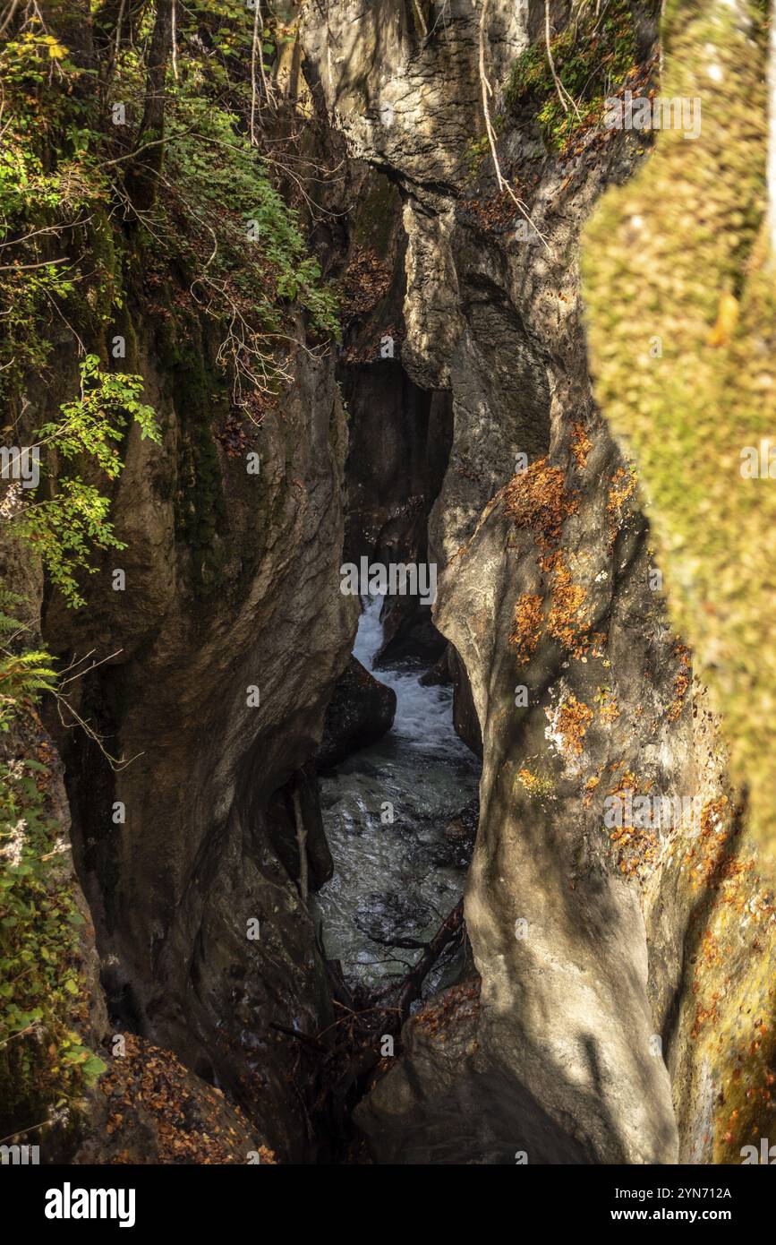Ein Bach, der durch die wunderschöne Mostnica-Schlucht im Nationalpark Triglav fließt, der sich in den Julischen Alpen in Slowenien befindet Stockfoto