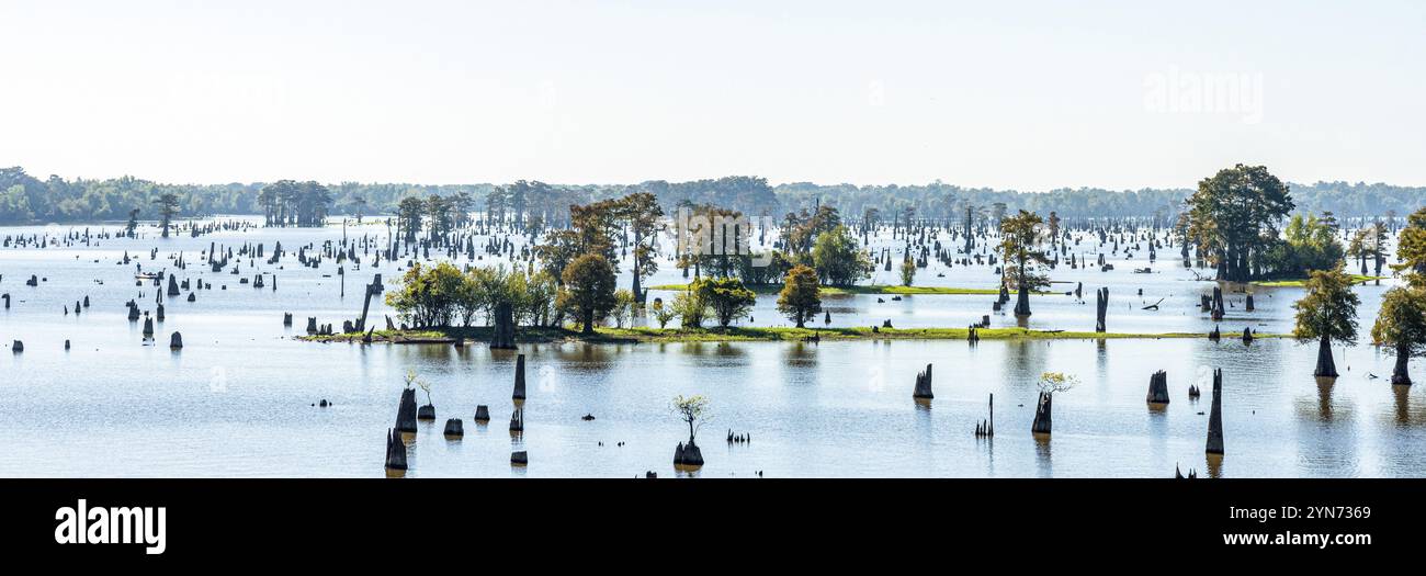 Panoramablick auf die Bayou in Louisiana, USA, Nordamerika Stockfoto