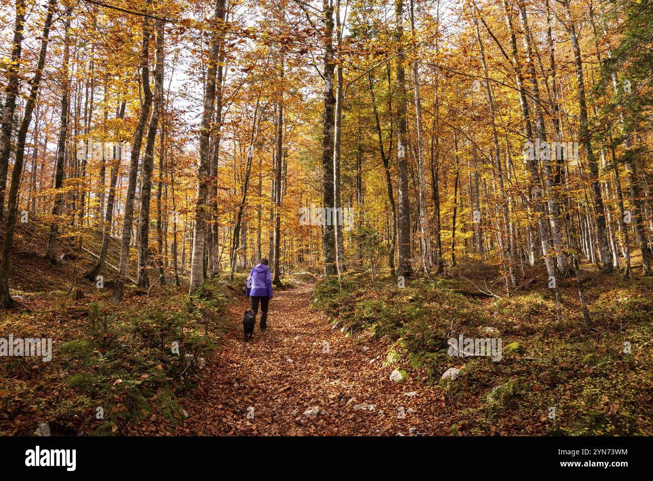 Wandern durch das Vrata-Tal im Herbst, Triglav-Nationalpark in den Julischen Alpen, Slowenien, Europa Stockfoto