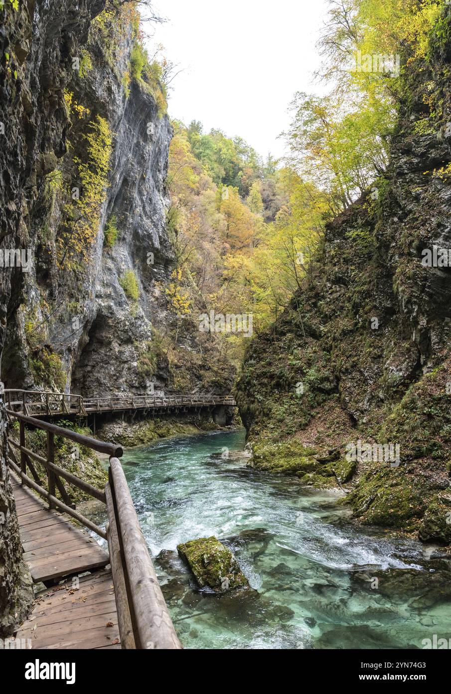 Malerischer Wildfluss, der durch die Vintgar-Schlucht fließt, Slowenien, Europa Stockfoto