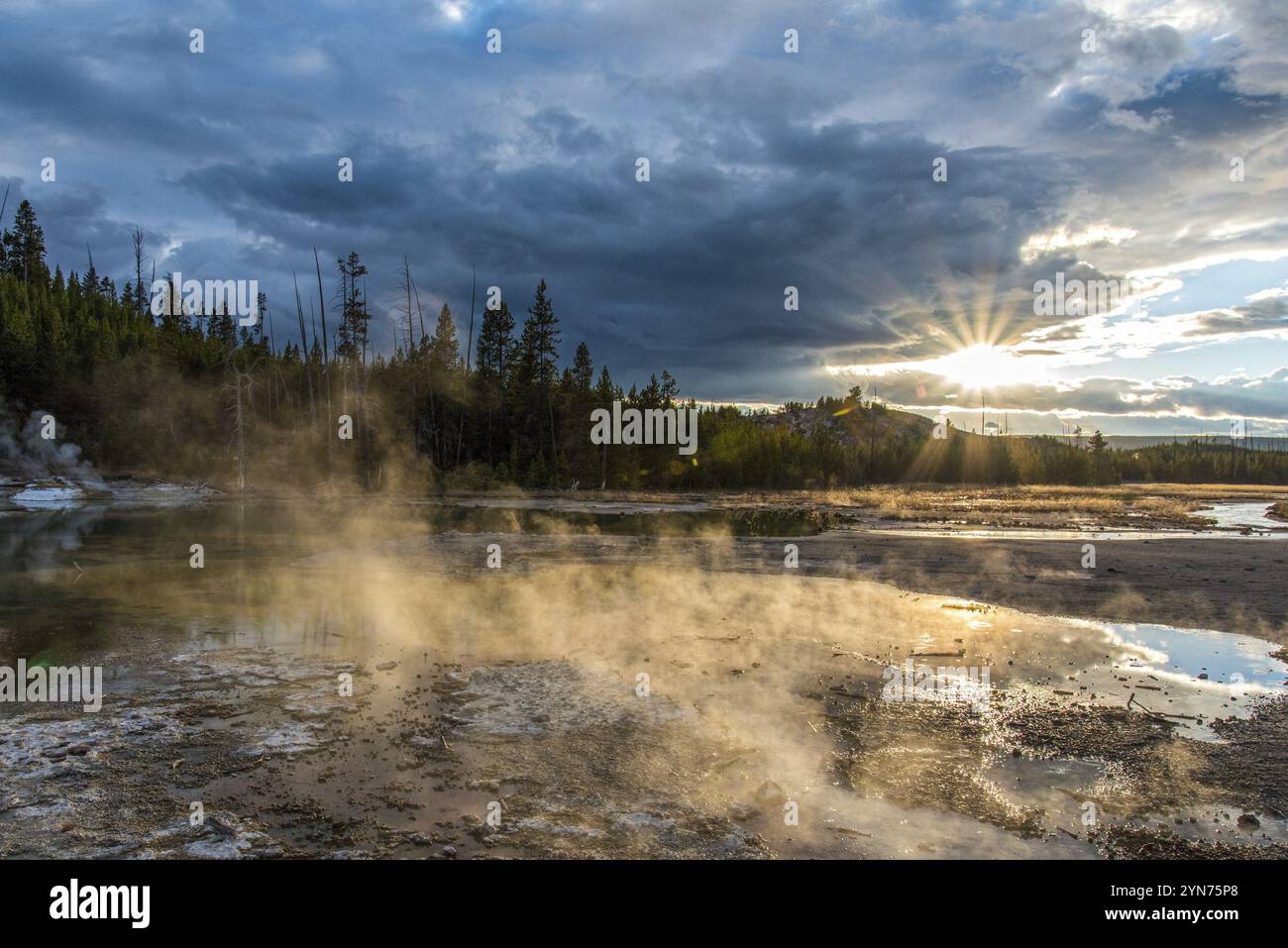 Dampfbad Mud Pod im berühmten Yellowstone National Park, USA, Nordamerika Stockfoto