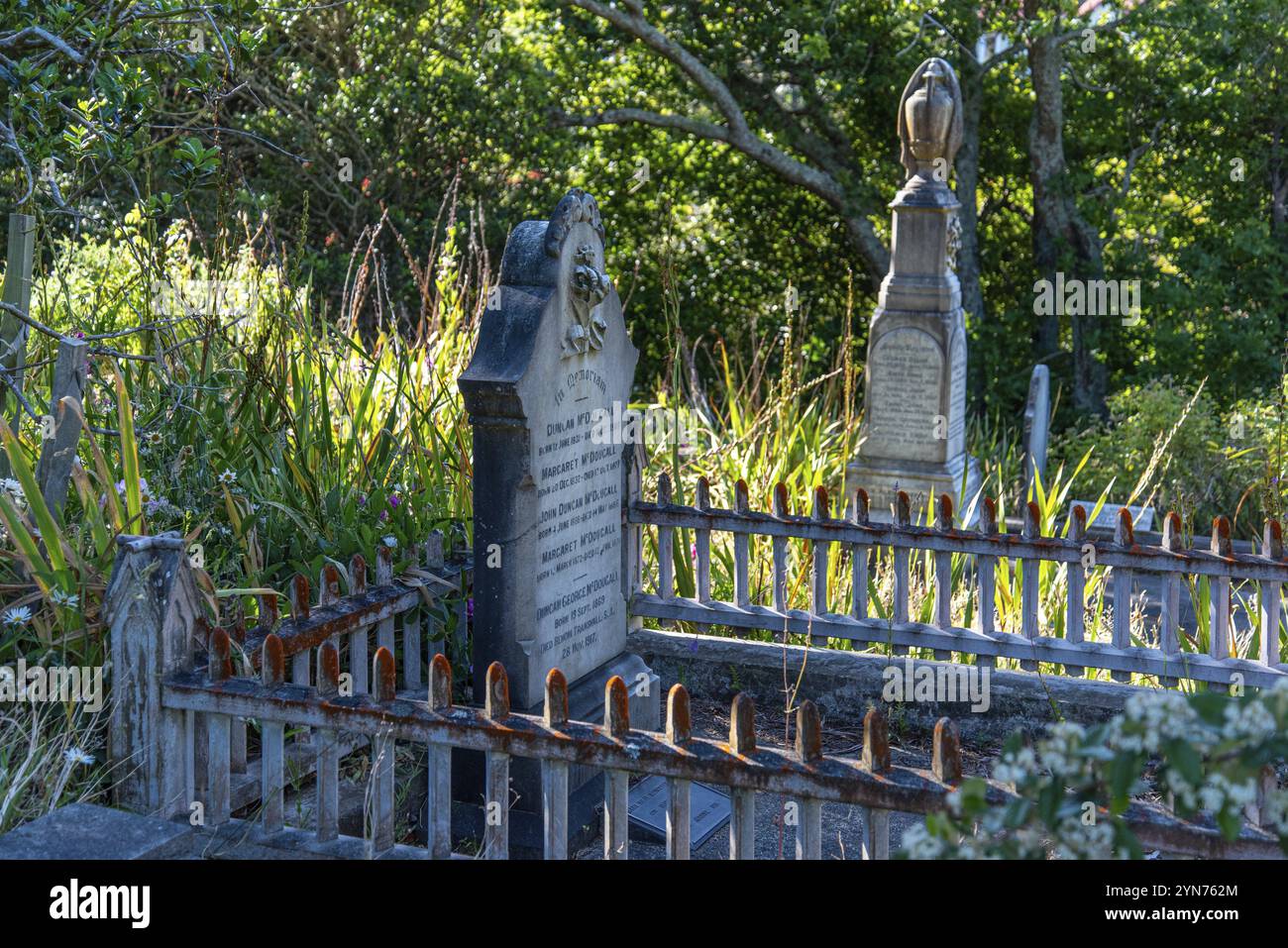 Alte Grabsteine auf dem Bolton Street Cemetery in Wellington, Neuseeland, Ozeanien Stockfoto
