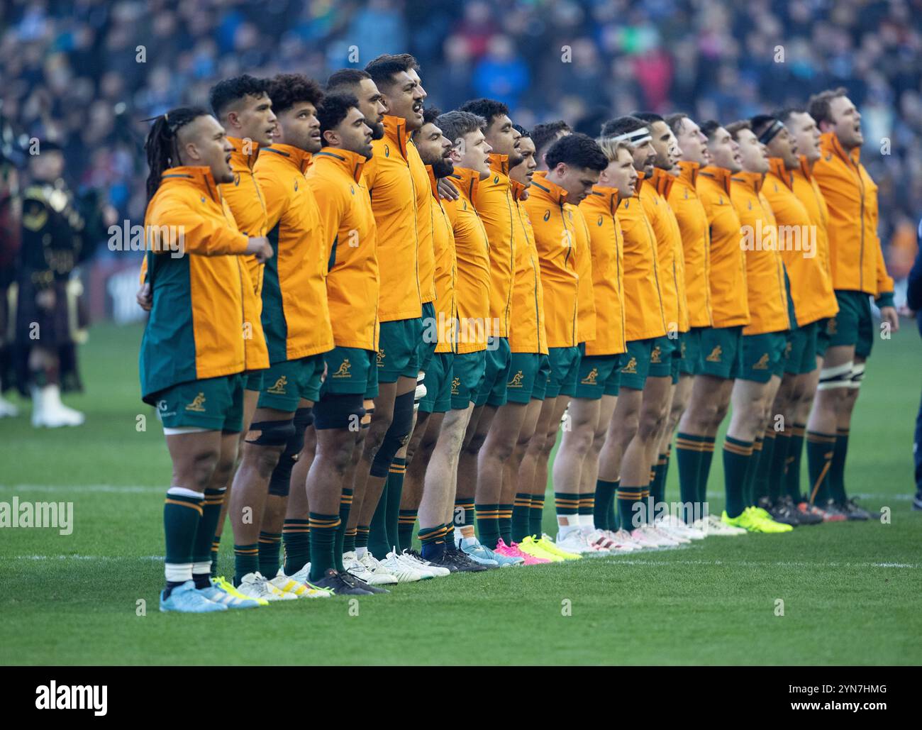 Edinburgh, Schottland, Großbritannien, 24. November 2024 - das australische Team ist stolz auf seine Nationalhymne vor dem Auftakt in Scottish Gas Murrayfield. Schottland gegen Australien in Murrayfield, Edinburgh.- Credit: Thomas Gorman/Alamy Live News Stockfoto