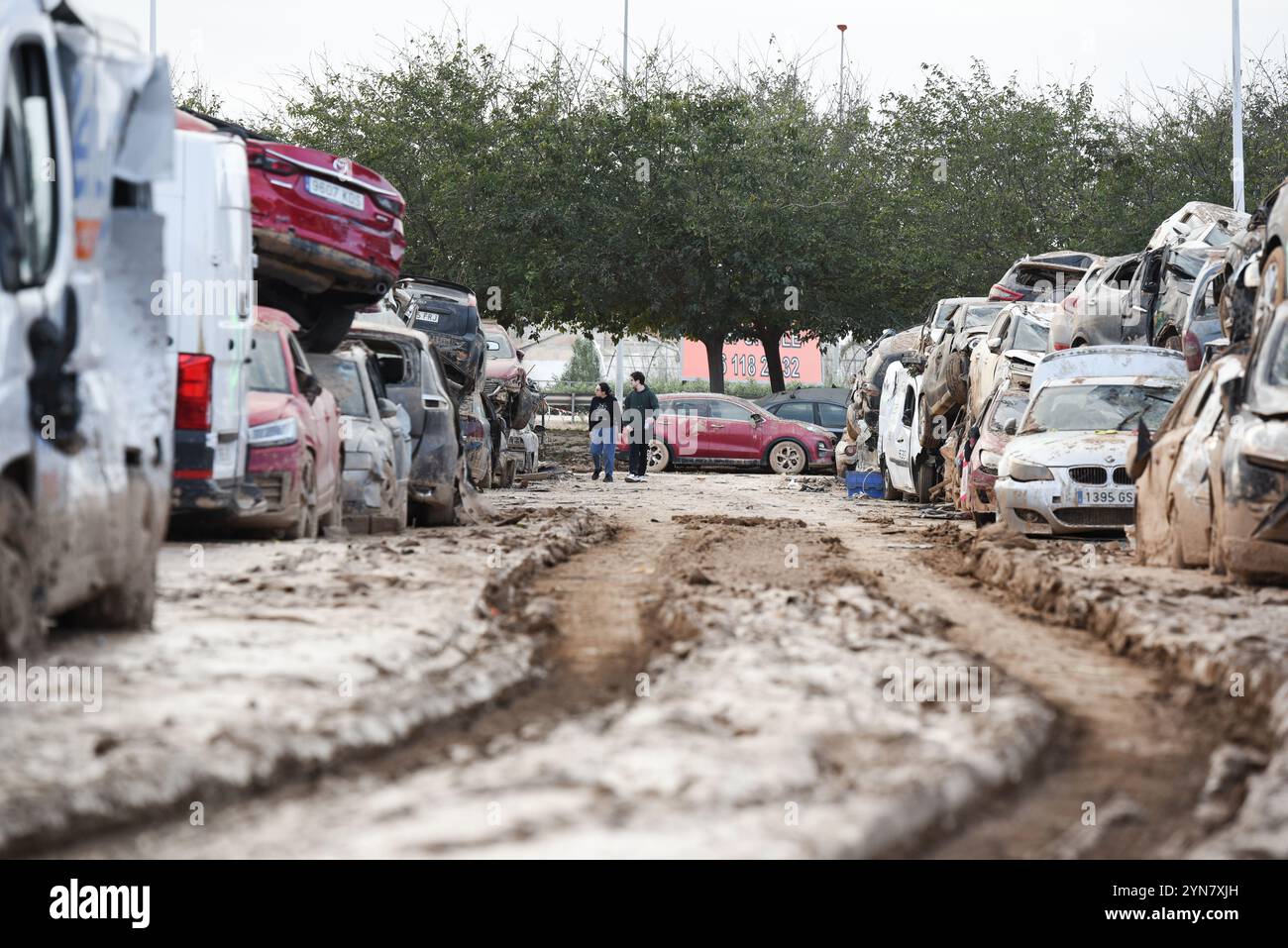 Catarroja, Spanien - 24. November 2024. Beschädigte Autos nach der DANA-Überschwemmung werden auf einem Feld in Catarroja, Valencianische Gemeinde, gelagert und stapelt, fast einen Monat nach der Katastrophe, die die östlichen und südlichen Gebiete Spaniens heimsuchte. Tausende von Menschen verloren ihr Fahrzeug und werden auf den Friedhöfen und Friedhöfen der Autos nach ihm gesucht. Autohändler haben Wartelisten aufgrund der hohen Anzahl von Anfragen nach einem Neuwagen. Quelle: Roberto Arosio/Alamy Live News Stockfoto