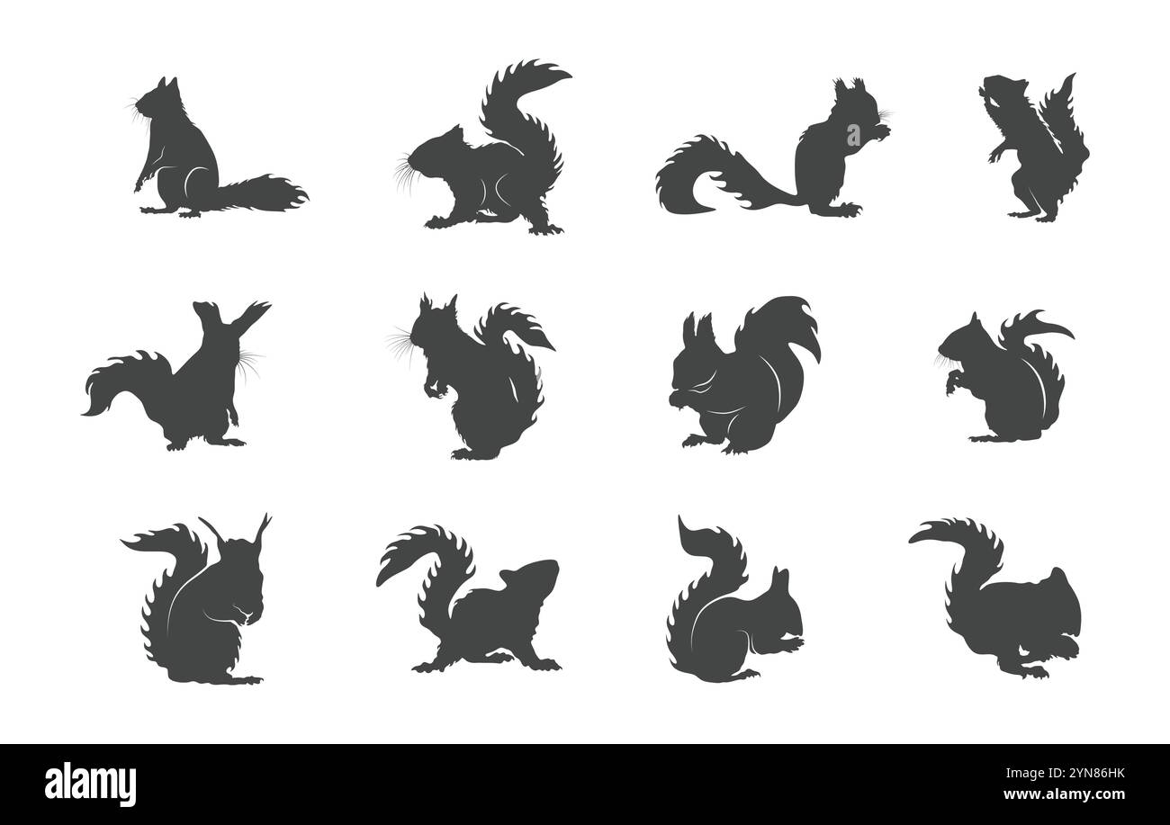Eichhörnchen Silhouette, Eichhörnchen Vektor, Eichhörnchen Clipart, Eichhörnchen Symbol, Eichhörnchen Vektor Set Stock Vektor