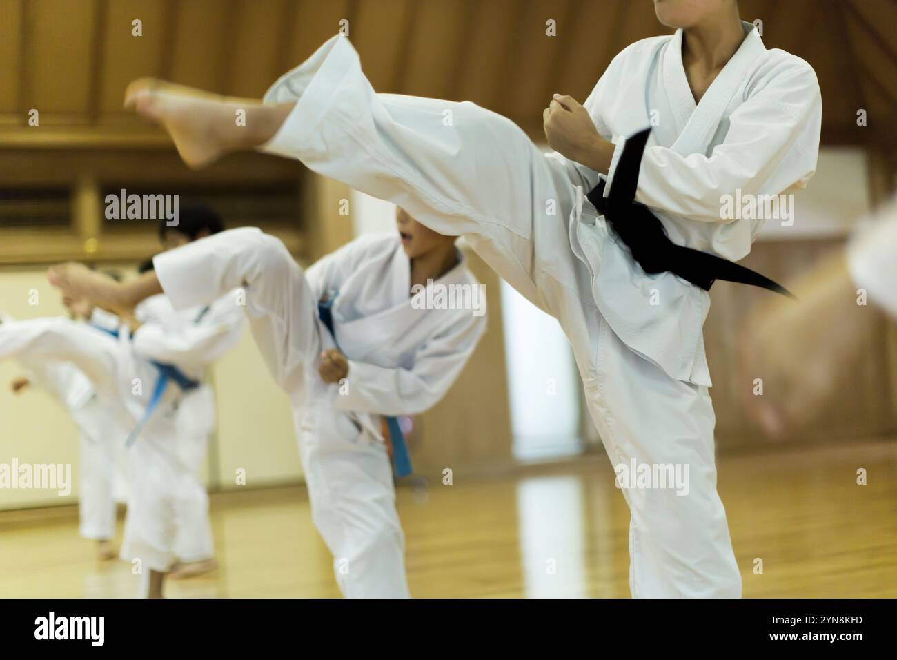 Kinder, die Karate üben Stockfoto