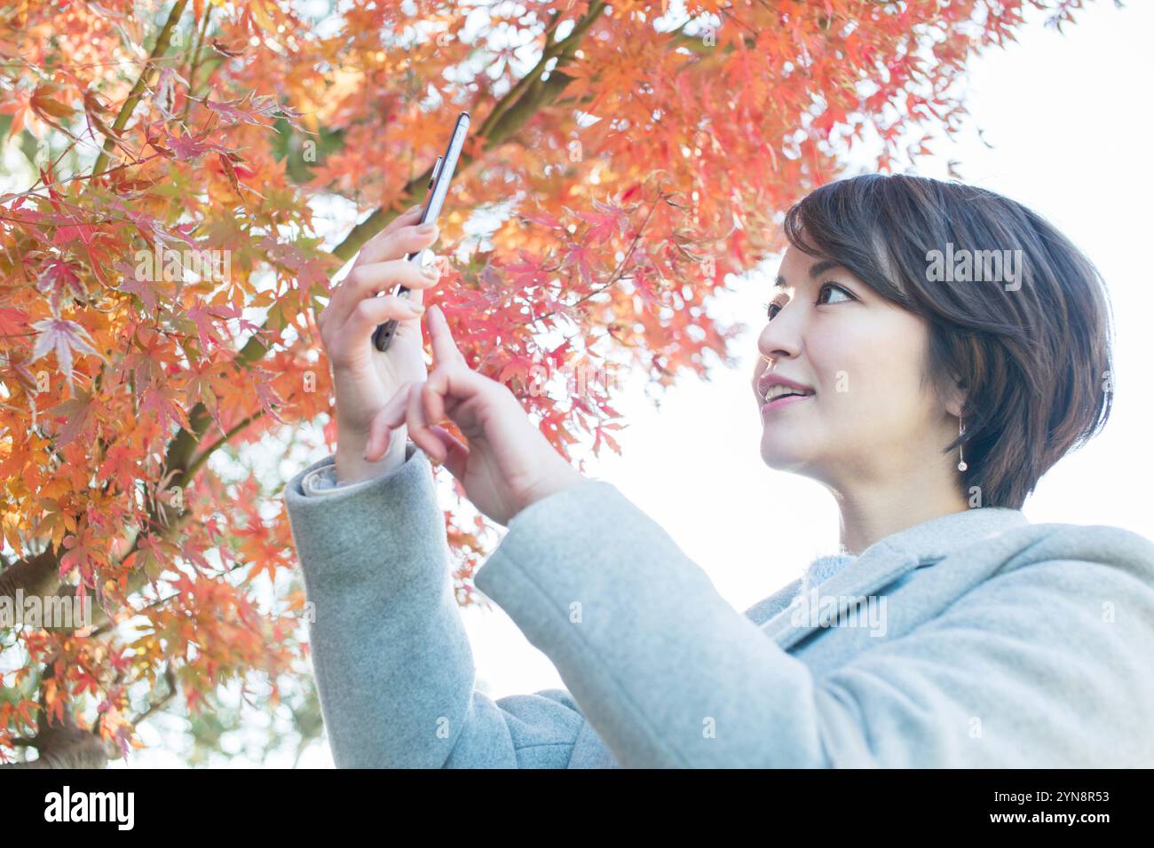 Lächelnde Frau in ihren 30ern, die ein Foto von Herbstlaub mit ihrem Handy macht. Stockfoto