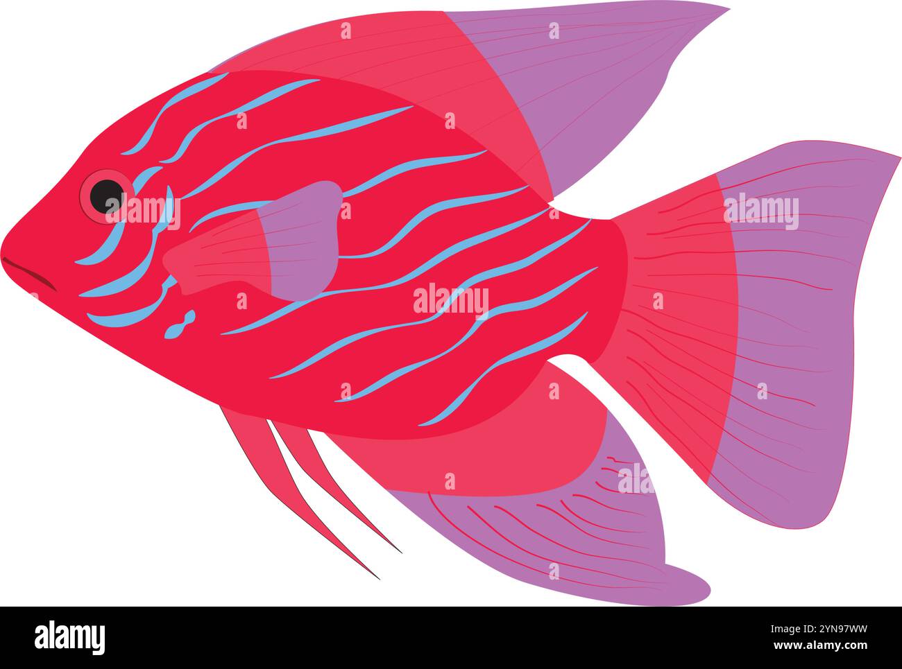 Bunte Fisch-Skalare-Illustration mit schönen Farben Stock Vektor