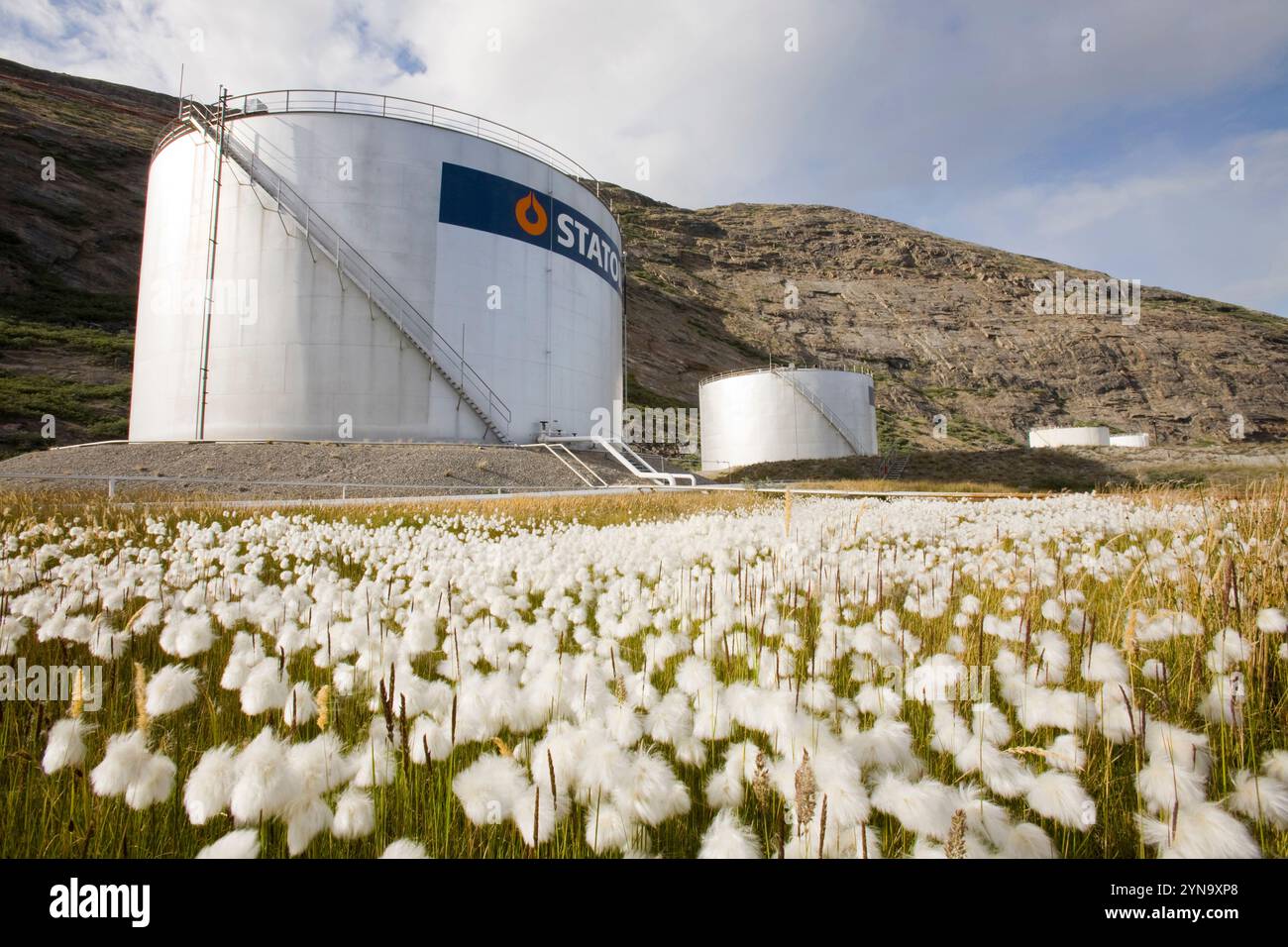 Klimawandel in Grönland. Stockfoto