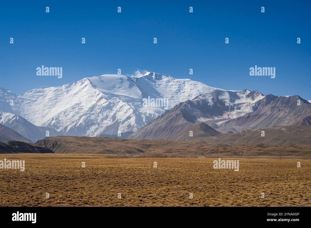 Farbenfrohe Landschaft im Spätsommer auf den schneebedeckten Lenin Peak in der Trans Alay Bergkette, Sary Mogol, Kirgisistan Stockfoto