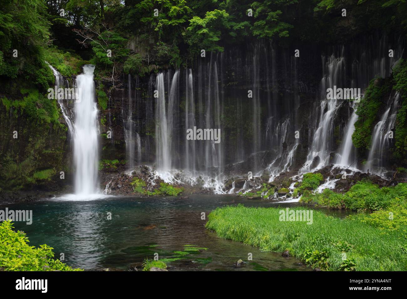 Shiraito Wasserfälle im Frühling in Japan Stockfoto