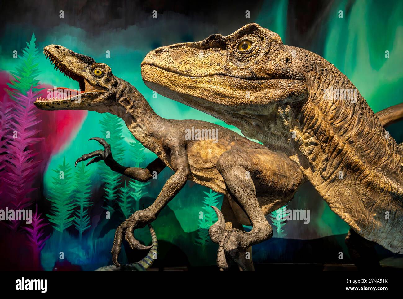 Australien, New South Wales, Sydney, Australian Museum, Australiens ältestes Museum, mit dem Schwerpunkt Naturgeschichte und Anthropologie, Dinosaurierreplik Stockfoto