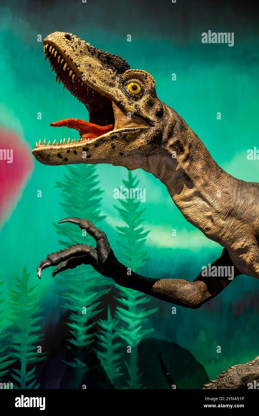 Australien, New South Wales, Sydney, Australian Museum, Australiens ältestes Museum, mit dem Schwerpunkt Naturgeschichte und Anthropologie, Dinosaurierreplik Stockfoto