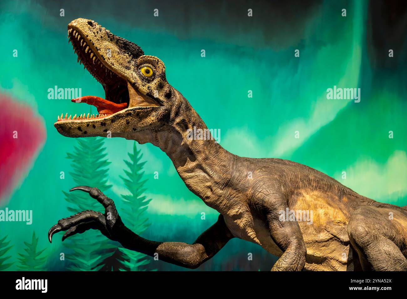Australien, New South Wales, Sydney, Australian Museum, Australiens ältestes Museum, mit dem Schwerpunkt Naturgeschichte und Anthropologie, Dinosaurierreplik Stockfoto