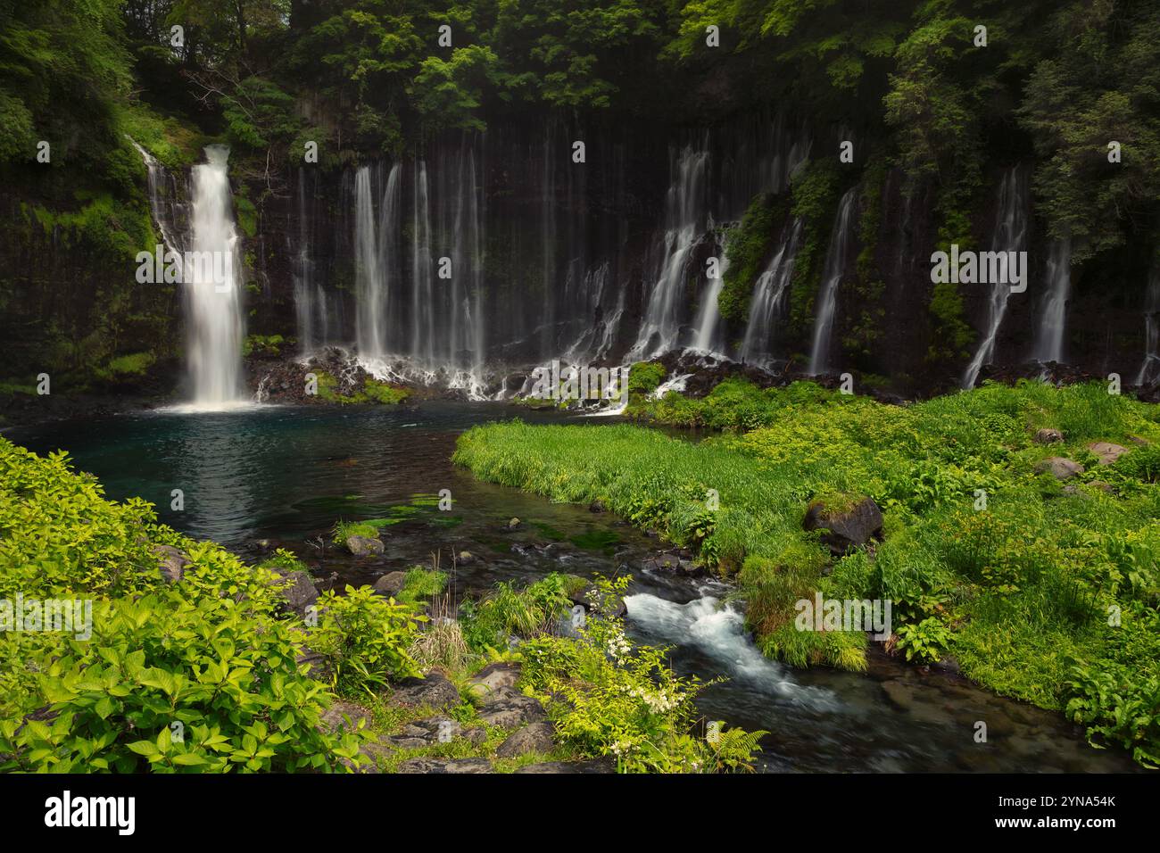 Shiraito Wasserfälle im Frühling in Japan Stockfoto