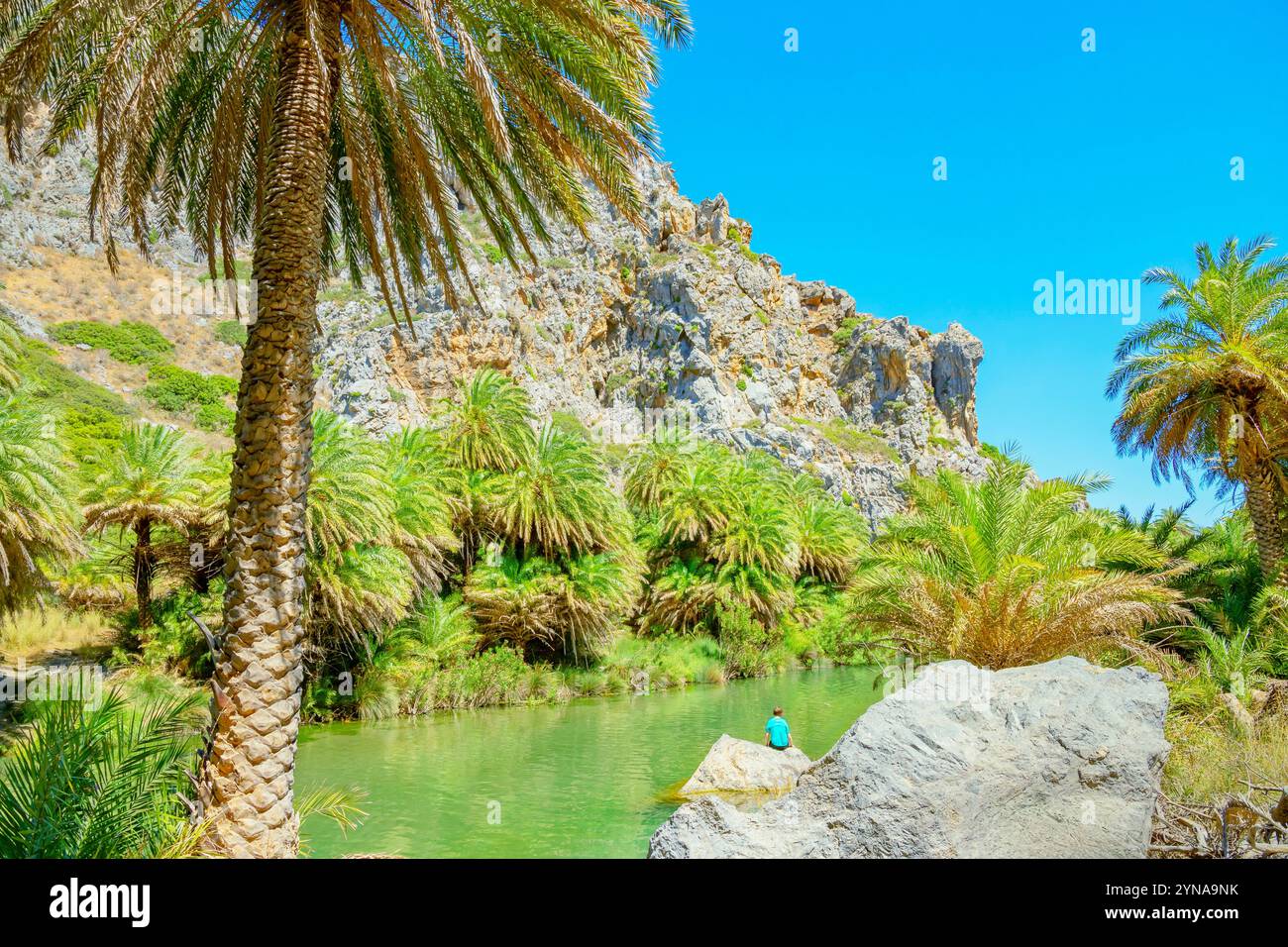 Griechenland, Kreta, Blick auf den Fluss Megalopotamos und Preveli Palmenwald, Rethymnon Stockfoto