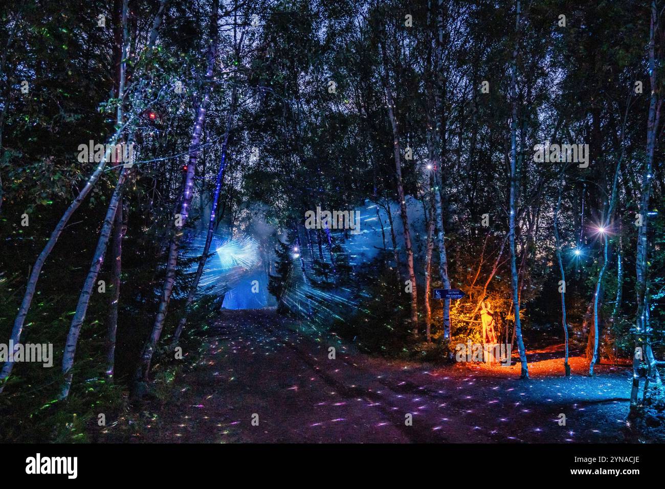 Frankreich, Puy de Dome, regionaler Naturpark der Vulkane der Auvergne, Chaine des Puys, Saint Ours les Roches, Vulkan Lemptegy, das Erwachen des Vulkans, nächtliche Licht- und Soundshow Stockfoto