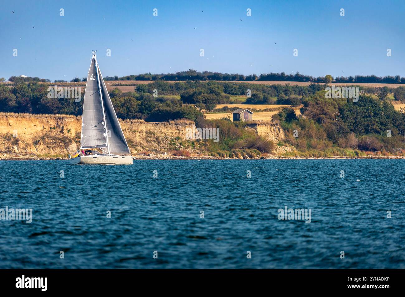 Dänemark, Fiona, Südfiona Archipel UNESCO Geopark, Ebberup Küste, Ein Segelboot ragt vor den Klippen in der Bucht von Åkrog Stockfoto