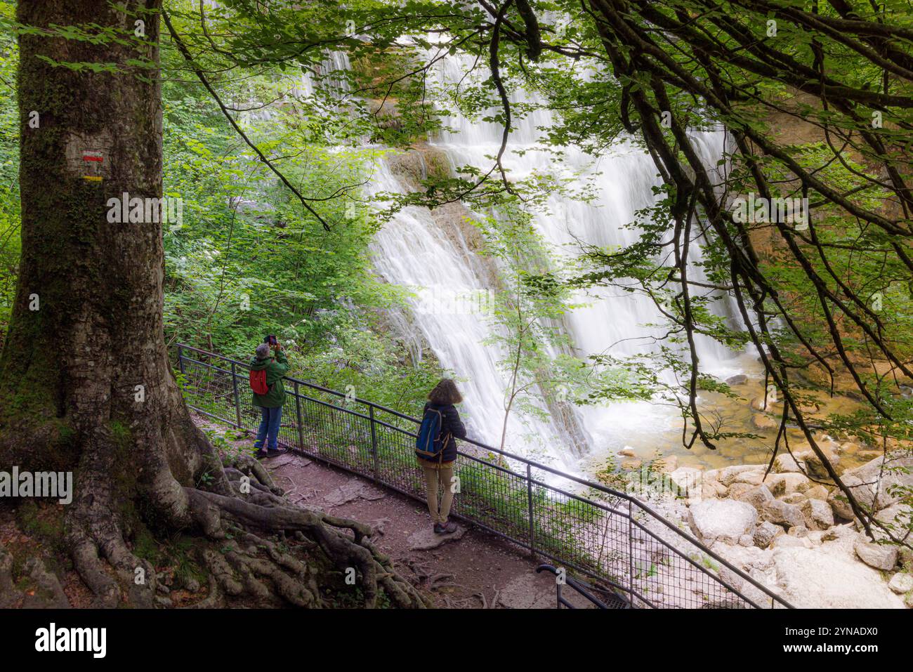 Frankreich, Jura, La Chaux du Dombief, Herisson Wasserfälle, l'Eventail Wasserfall Stockfoto