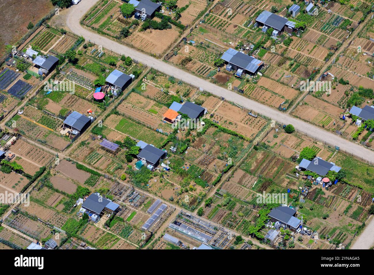 France, Rhone(69), Saint Priest, jardins ouvriers, Potagers (gue aerienne) Stockfoto