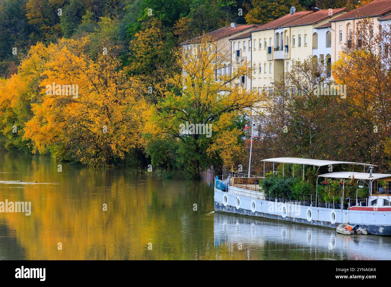 Frankreich, Rhone (69), Lyon, Quai Joseph Gillet, La Saone en crue Stockfoto