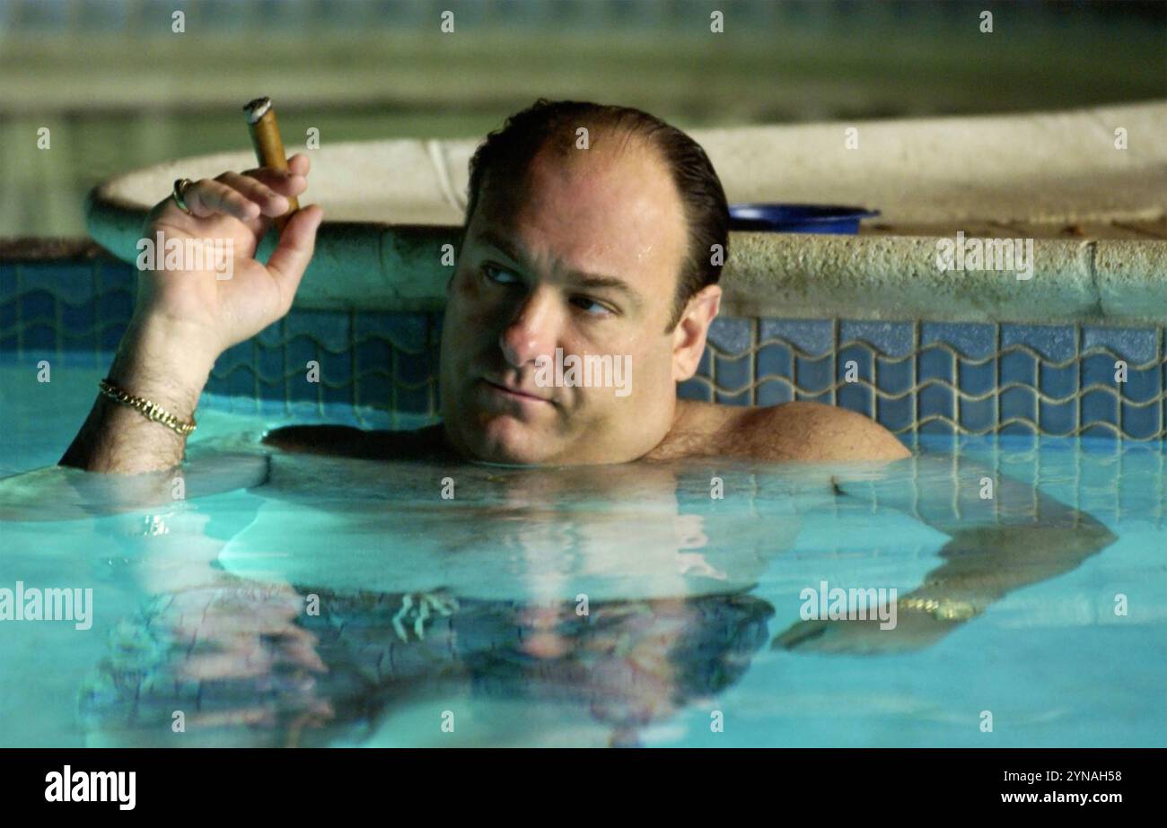 DIE Fernsehserie SOPRANOS HBO 1999-2007 mit James Gandolfini als Tony Soprano Stockfoto