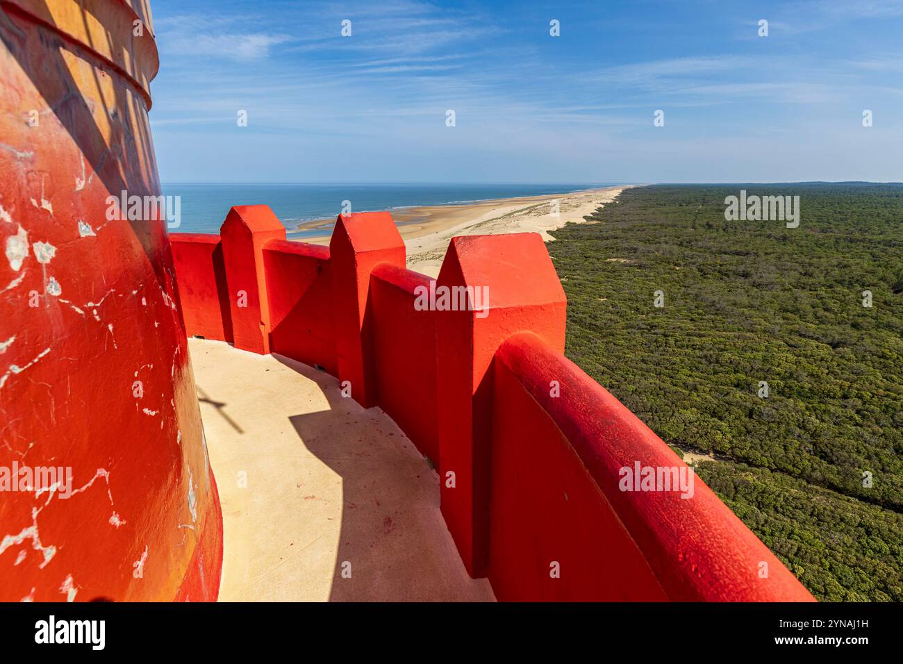 Frankreich, Charente-Maritime, Côte Sauvage, Pointe de la Coubre, La Tremblade, von der Nordkrone des Leuchtturms von La Coubre auf dem Walddomaniale von La Coubre und den langen Dünenstränden der Côte Sauvage aus gesehen Stockfoto