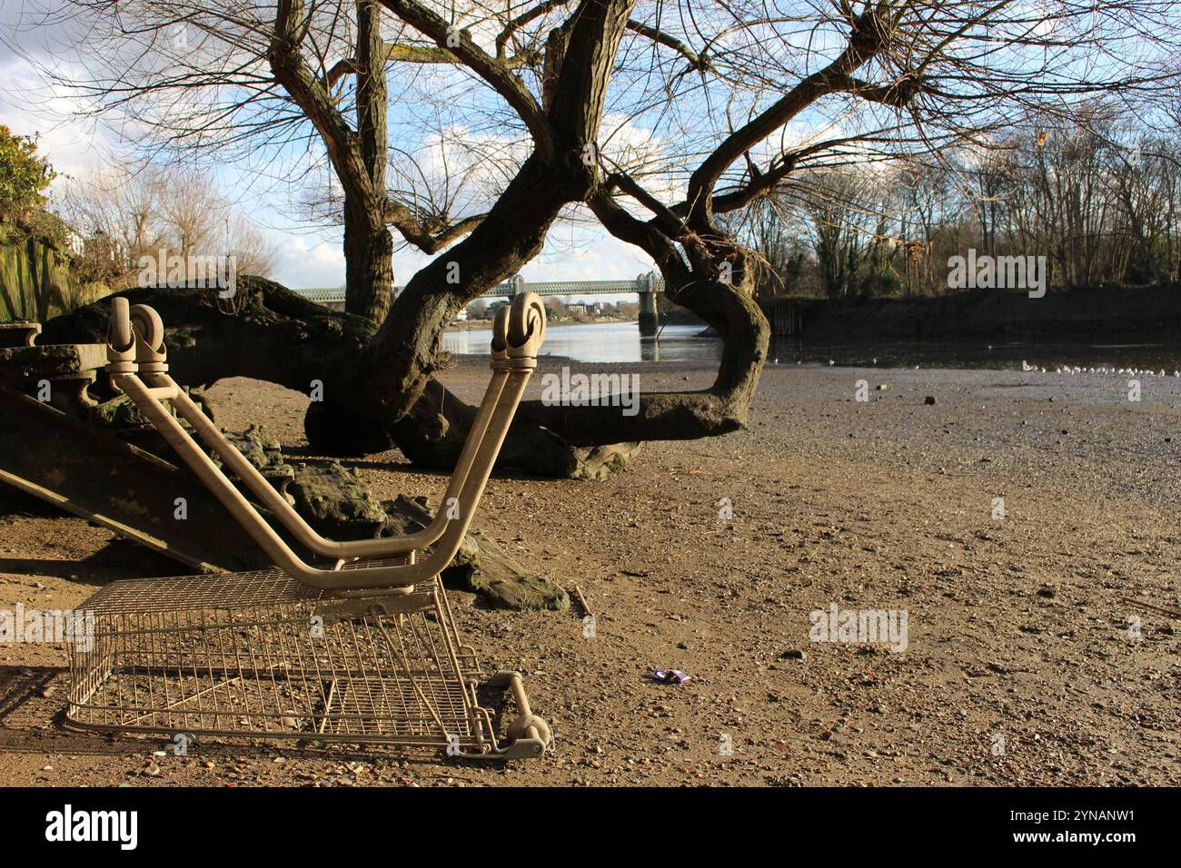 Umgedrehter Einkaufswagen an der Themse, Strand-on-the-Green Stockfoto