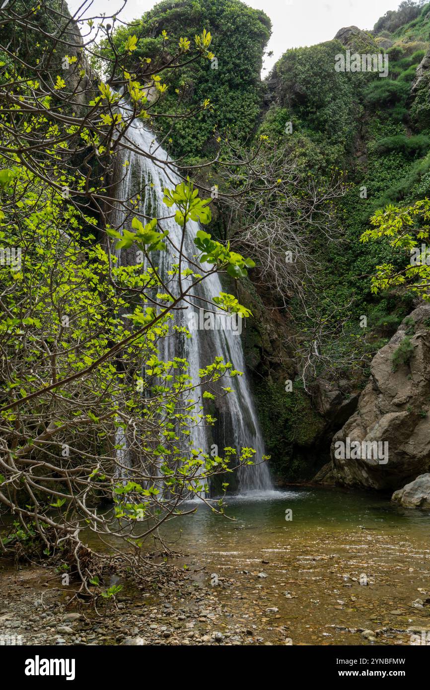 Richtis Gorge, staatlich geschützter Park, Kreta, Griechenland Stockfoto