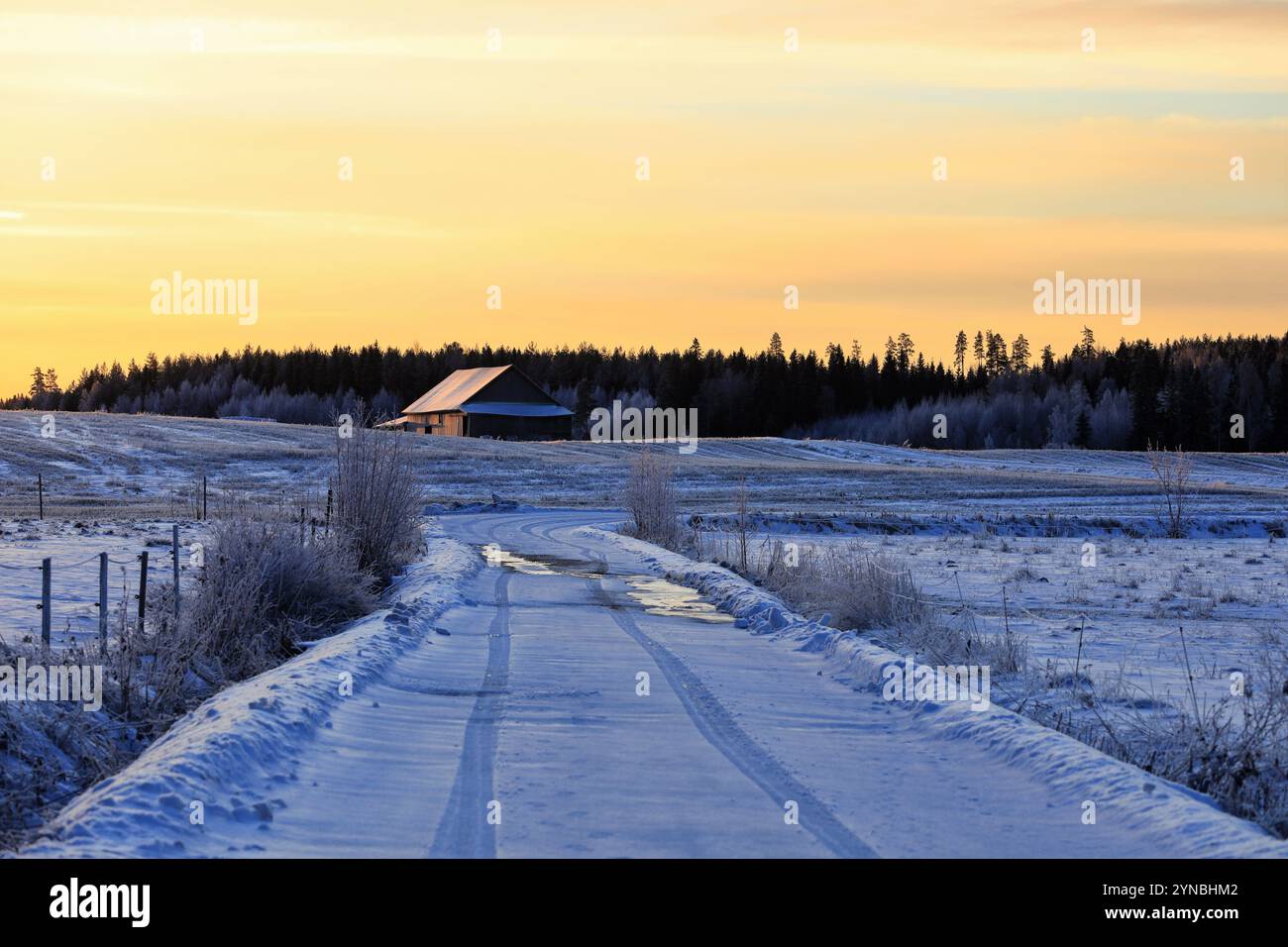 Ländliche Landschaft mit einer Landstraße zur Scheune bei Wintersonnenaufgang. Stockfoto