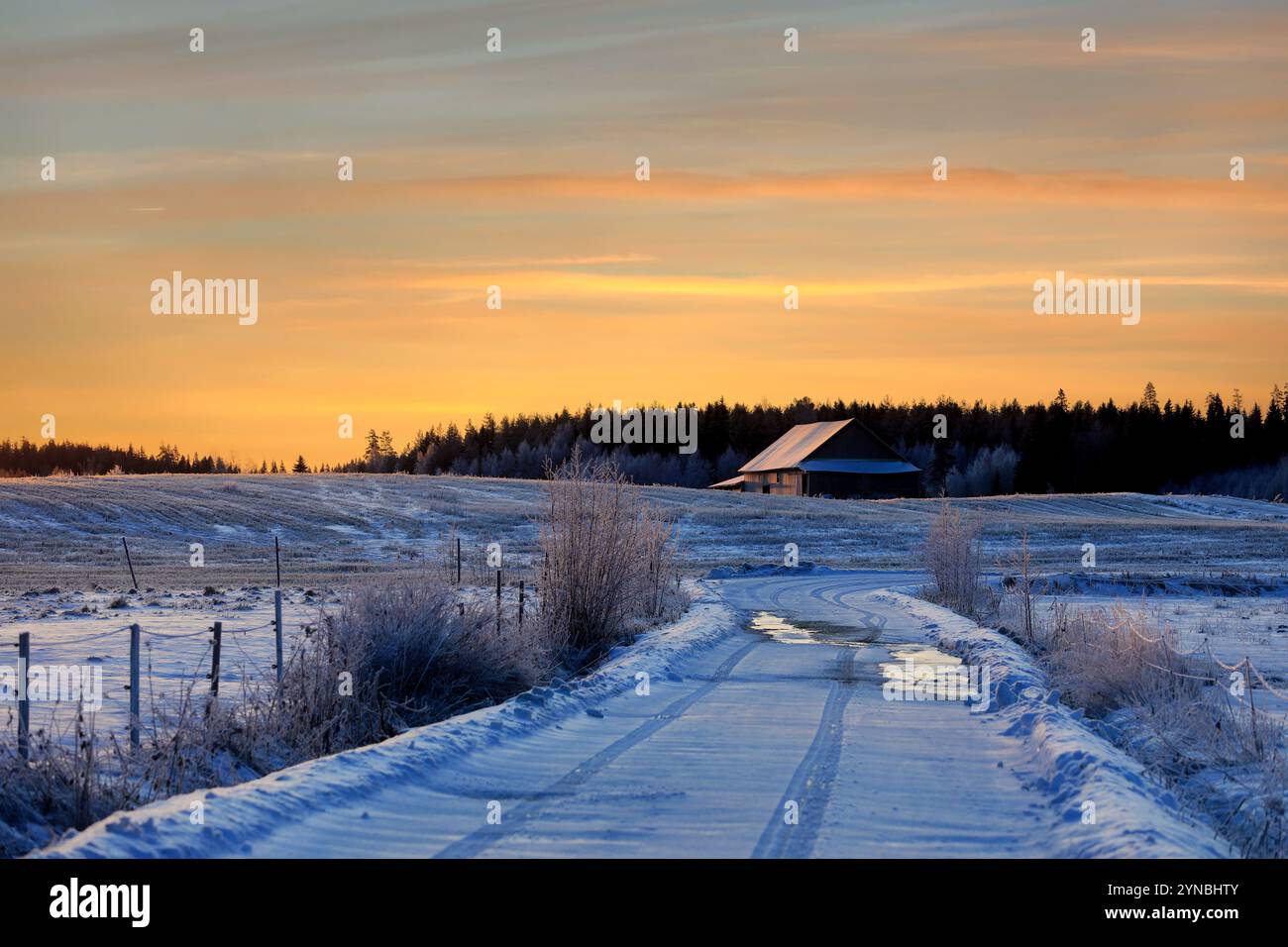 Ländliche Landschaft mit einer Landstraße zur Scheune bei Wintersonnenaufgang. Stockfoto