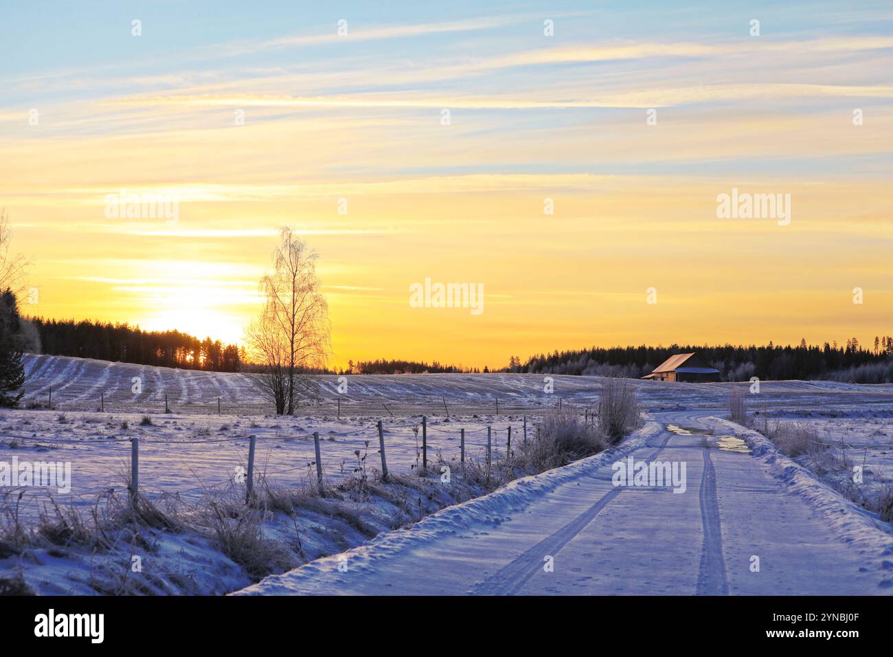 Ländliche Landschaft mit einer Landstraße zur Scheune bei Winteranbruch. Stockfoto
