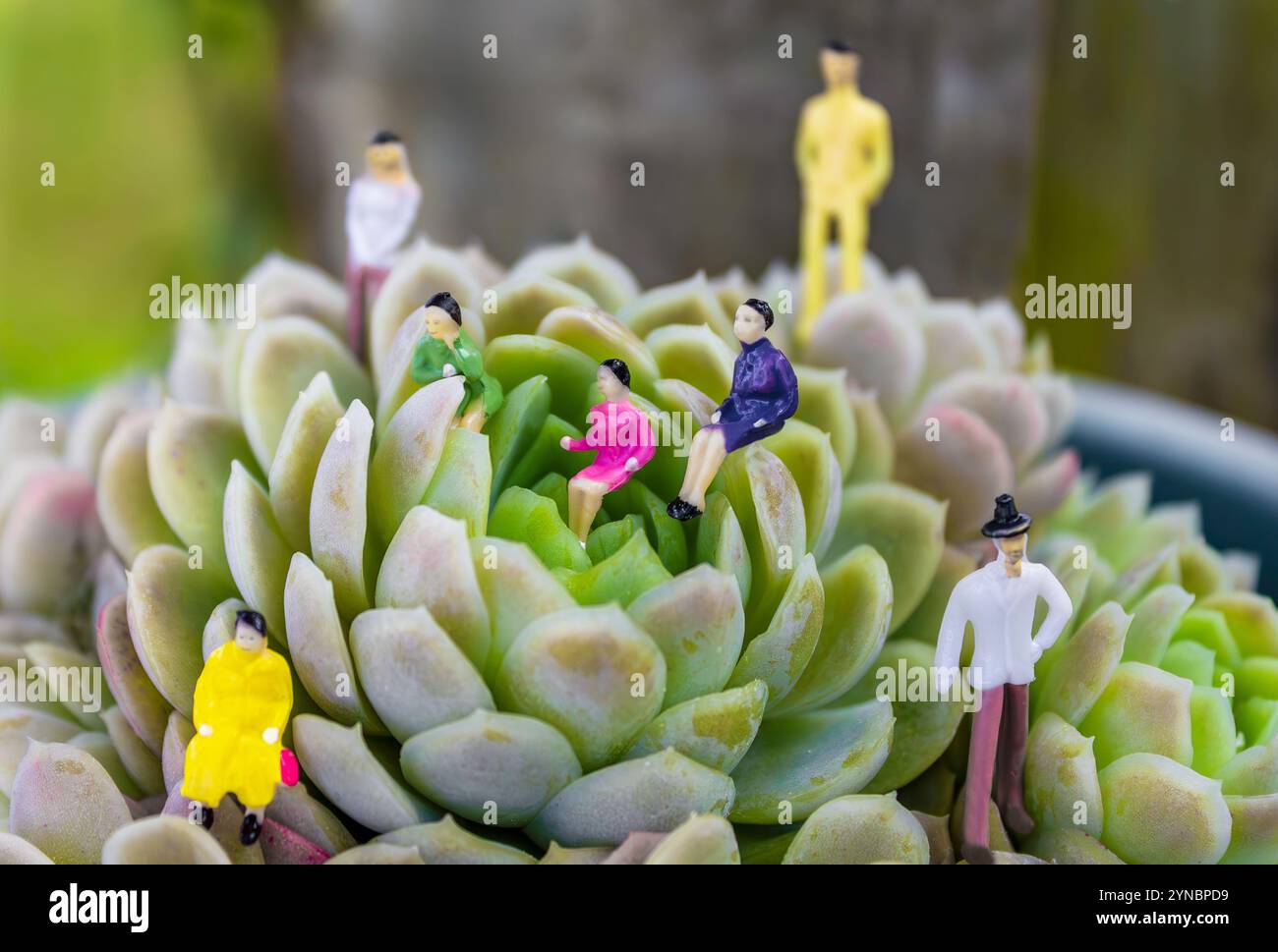 Winzige Menschen stellen sich in einer saftigen Pflanze Stockfoto