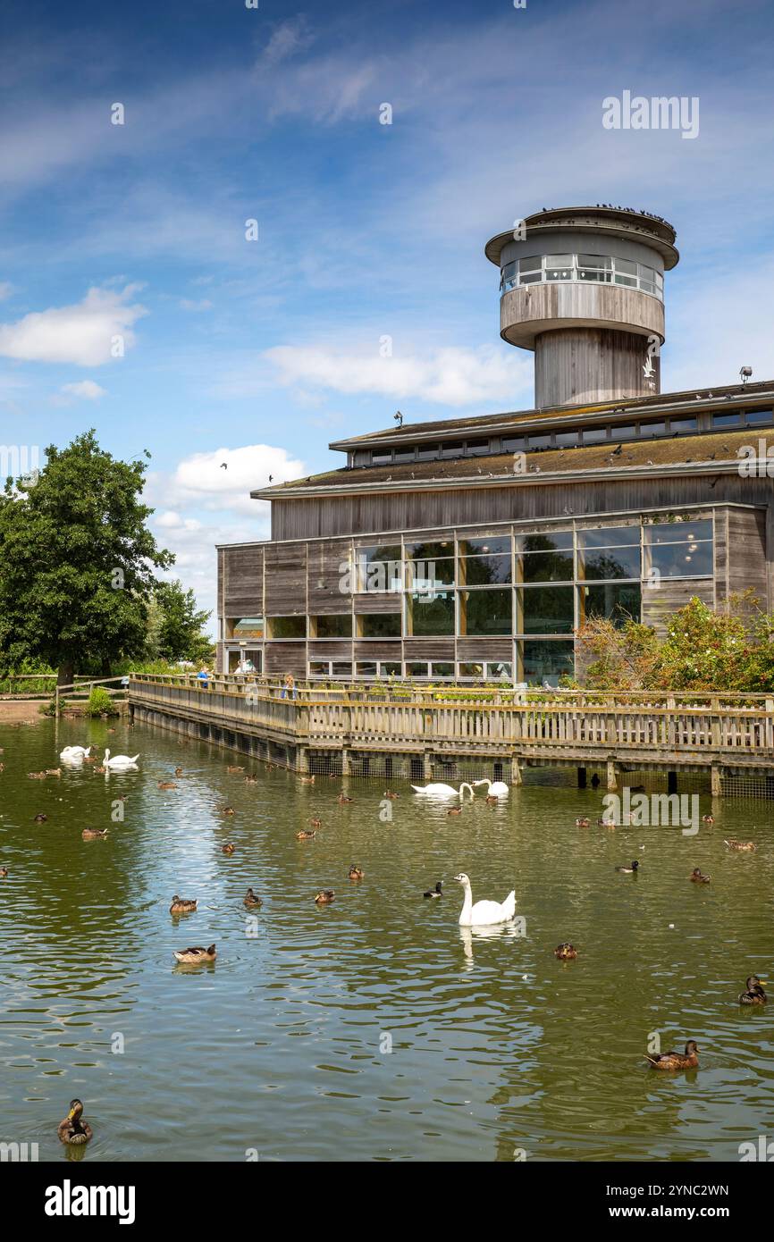 Großbritannien, England, Gloucestershire, Vale of Berkeley, Slimbridge, Wildflower and Wetlands Trust, Visitor Centre und Sloane Observation Tower Stockfoto