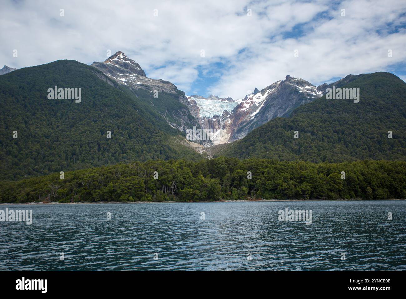 Patagonien, Chubut, Argentinien. Januar 2023. Lärchen und andere Baumarten teilen sich die Ökoregion des waldivianischen Dschungels, der die Anden überquert und Chile erreicht. Mehr als 1.900 Kilometer von Buenos Aires entfernt, im argentinischen Patagonien, befindet sich der Nationalpark Los Alerces, der 2017 zum Weltkulturerbe erklärt wurde. Dort finden Sie alte Alerces, mehr als 2.620 Jahre alt und 57 Meter hoch. (Credit Image: © MartÃ-N Levicoy/SOPA Images via ZUMA Press Wire) NUR REDAKTIONELLE VERWENDUNG! Nicht für kommerzielle ZWECKE! Stockfoto