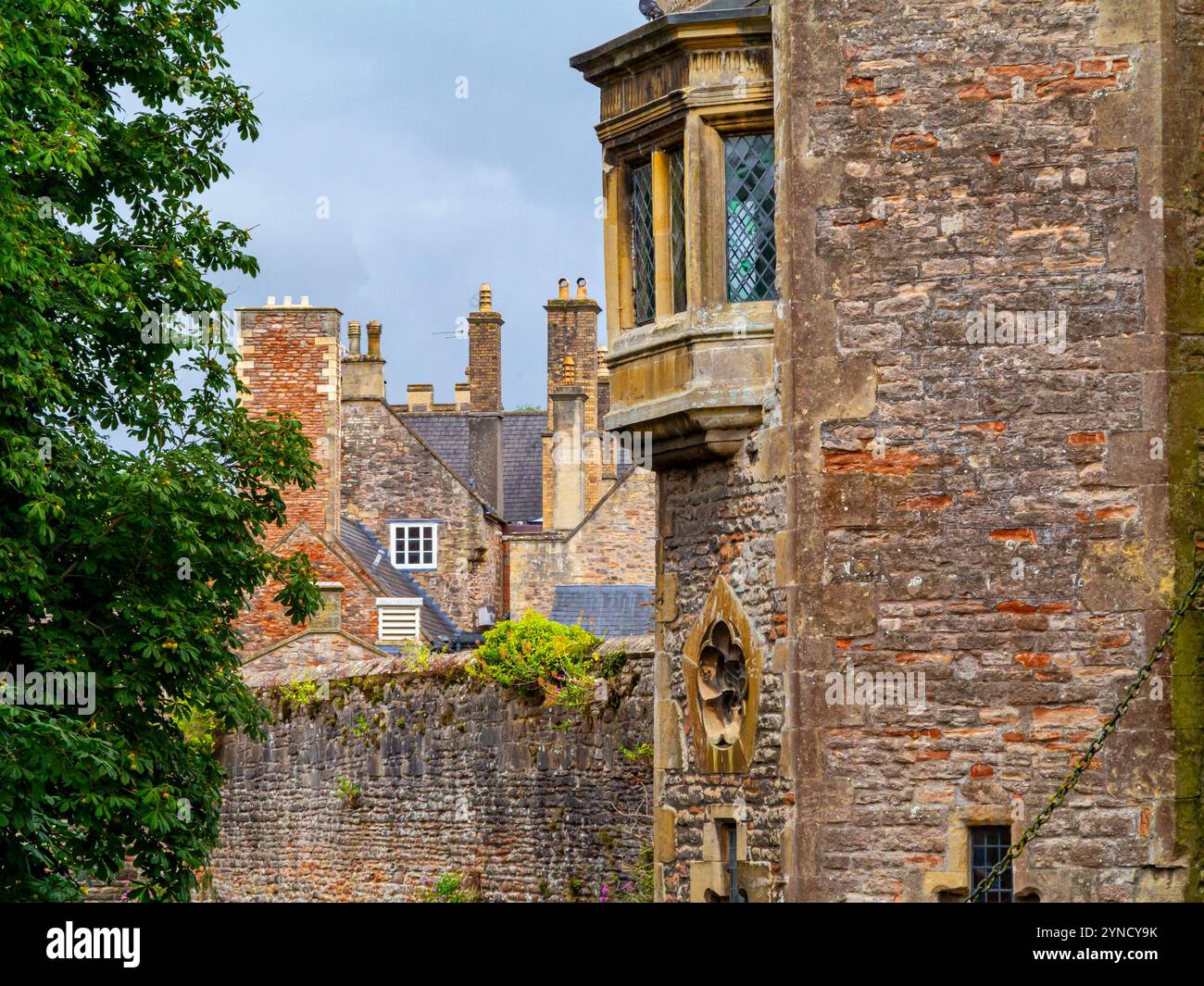 Teil des Außenbereichs und des Gartens des Bischofspalastes des Bischofs von Bath und Wells seit dem 13. Jahrhundert, Wells Somerset UK Stockfoto